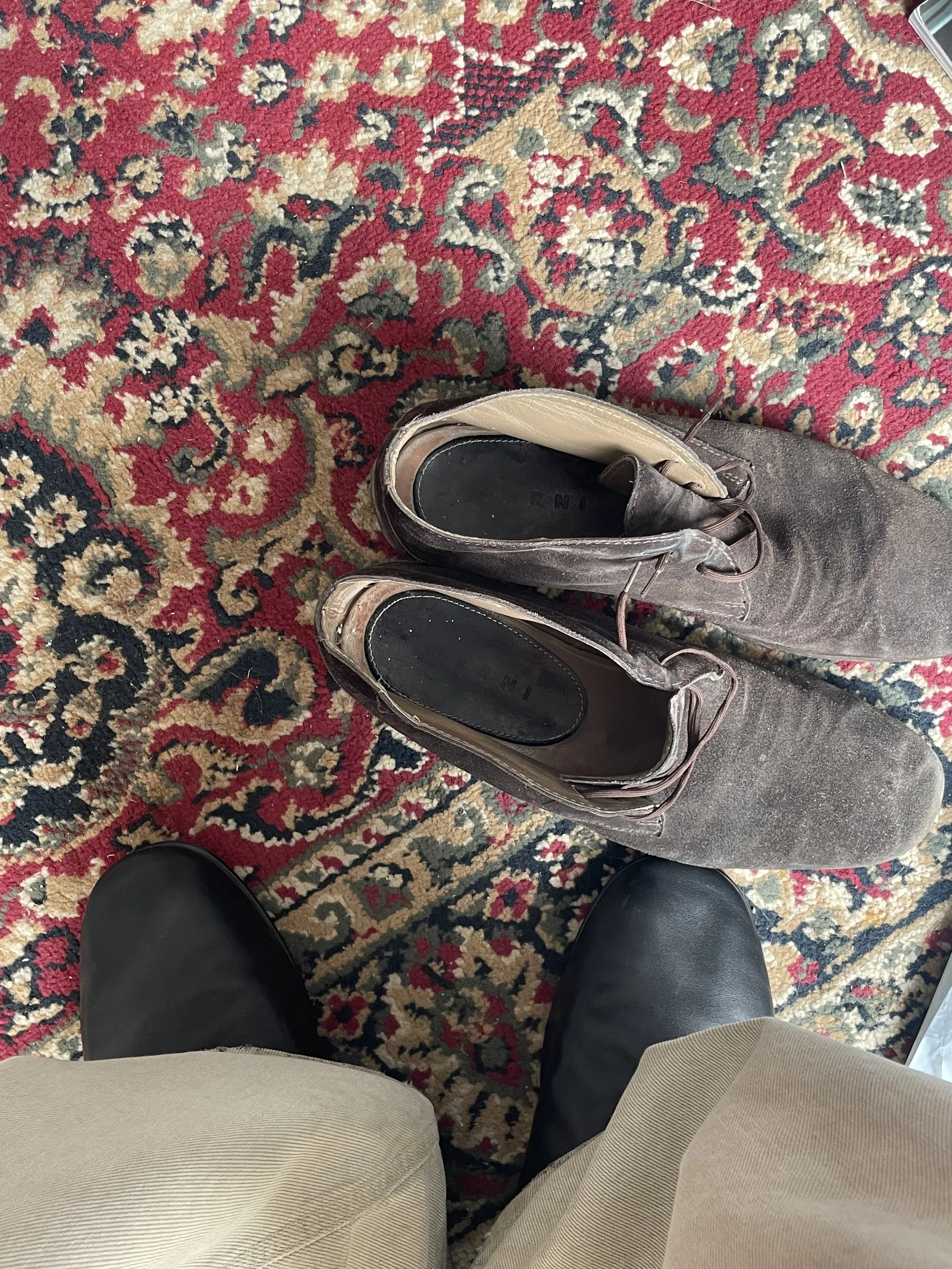 IMG_2395.jpeg