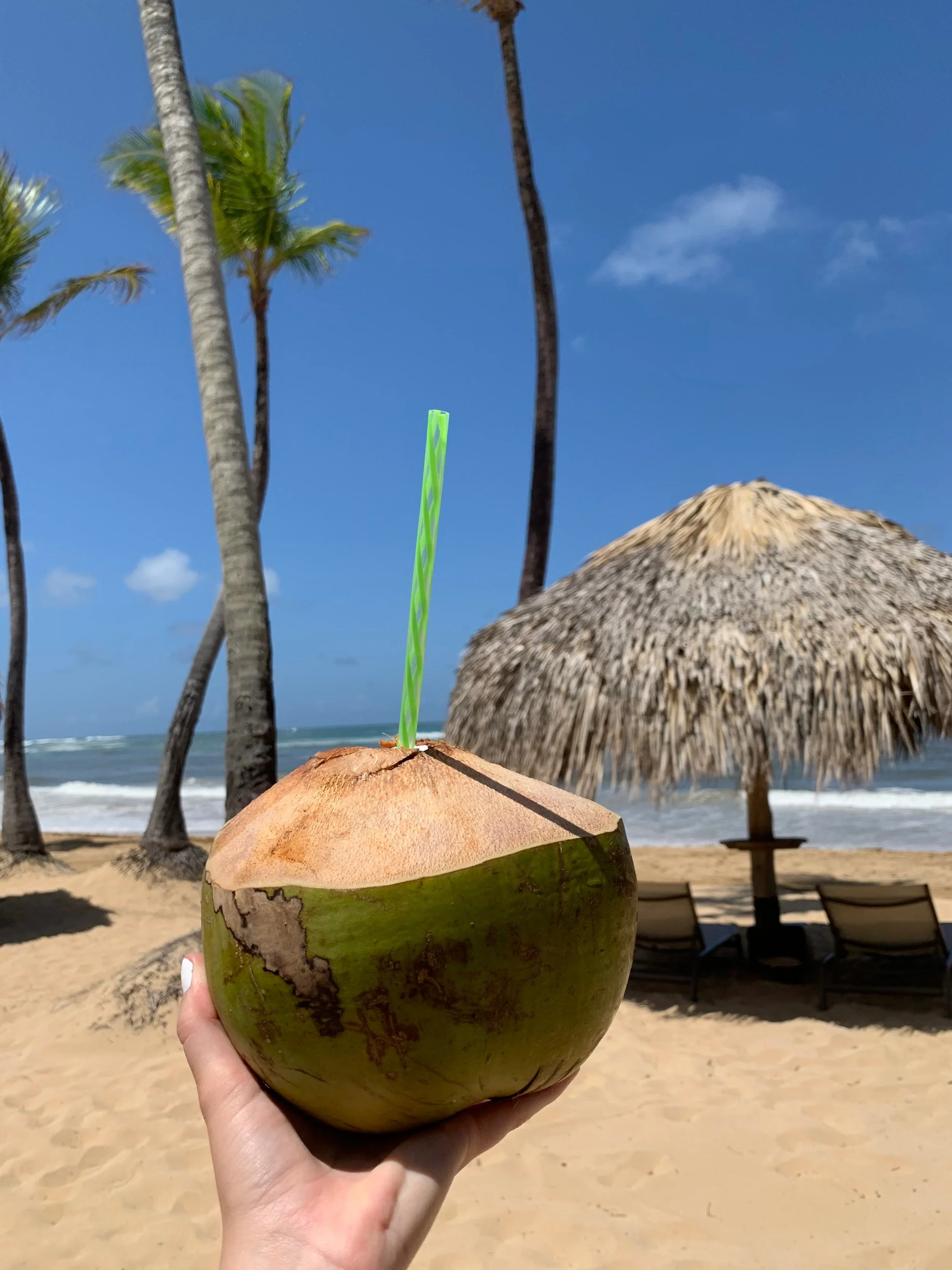 Hand holding a fresh coconut drink on a sandy Dominican Republic beach with palm trees and a thatched umbrella in the background.