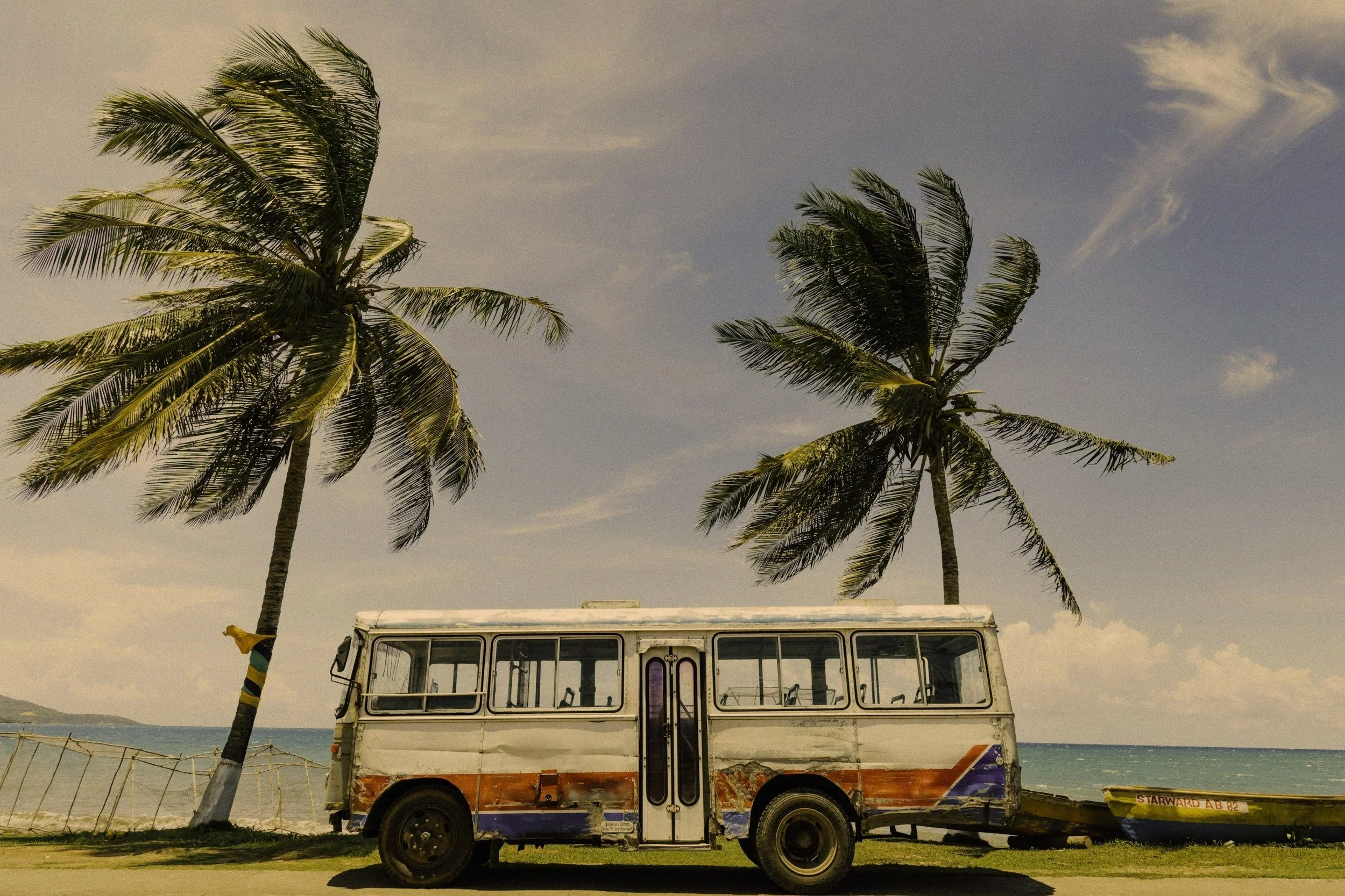 Abandoned reggae bus by two palm trees blowing in the wind in Jamaica