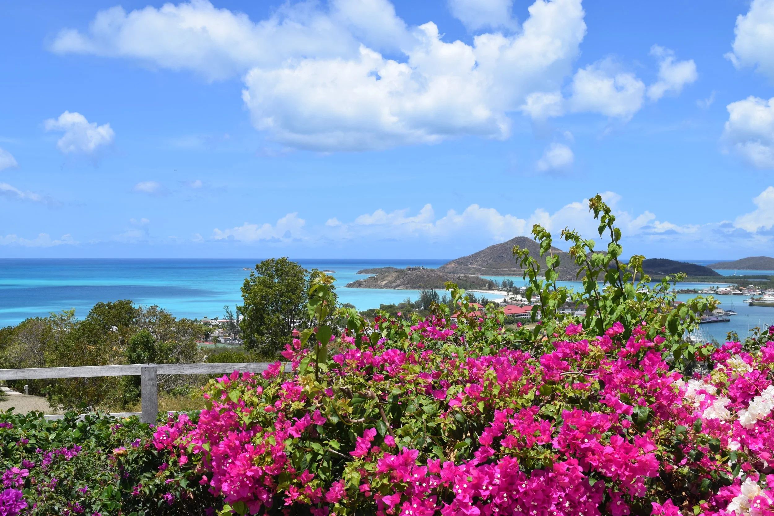 Vibrant pink bougainvillea overlooking Antigua’s turquoise coastline and rolling green hills beneath a bright blue Caribbean sky — a serene view that captures the island’s colorful elegance and calm energy.