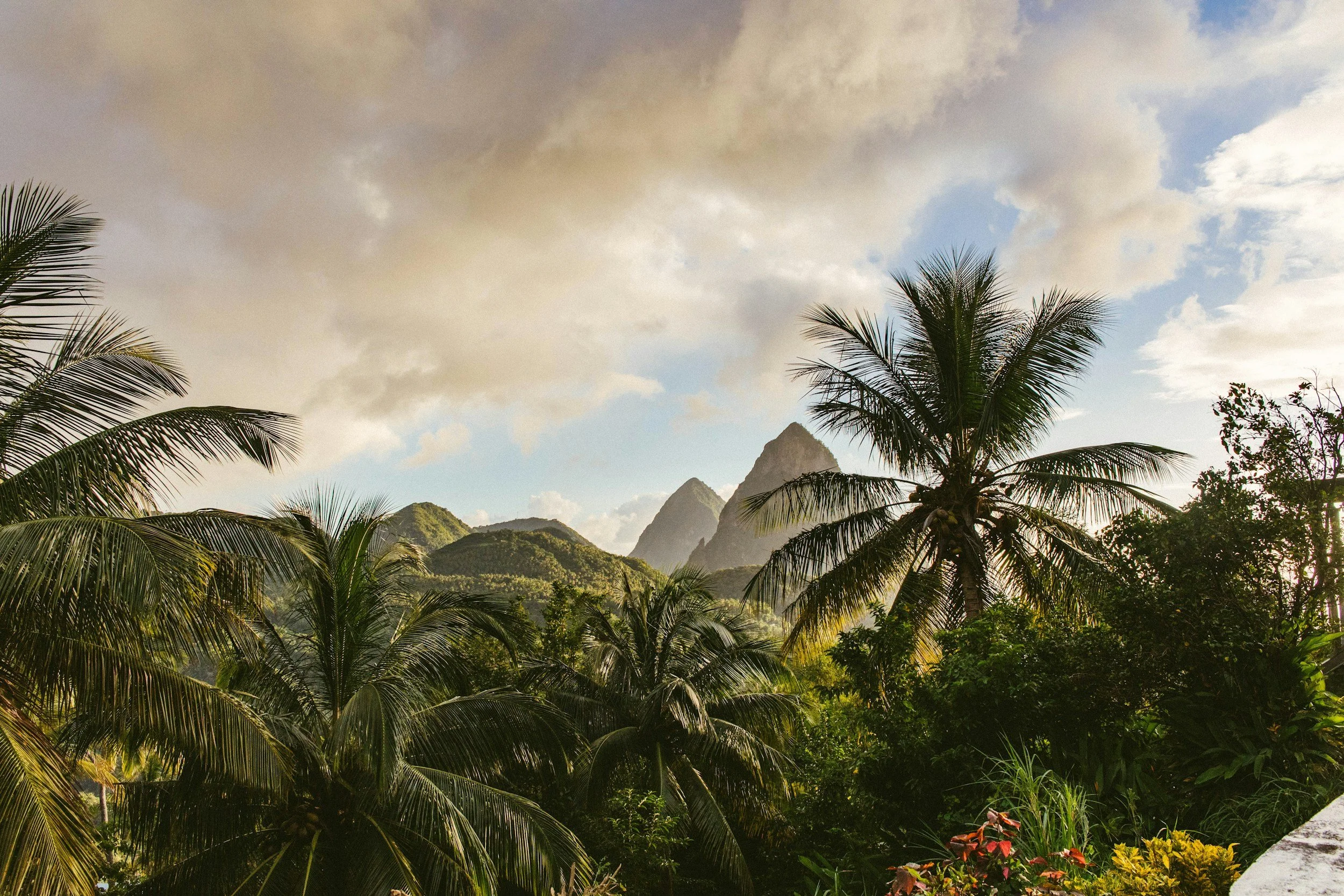 Tropical Caribbean rainforest with palm trees and mist-covered mountains — showing the region’s natural depth and quieter beauty.