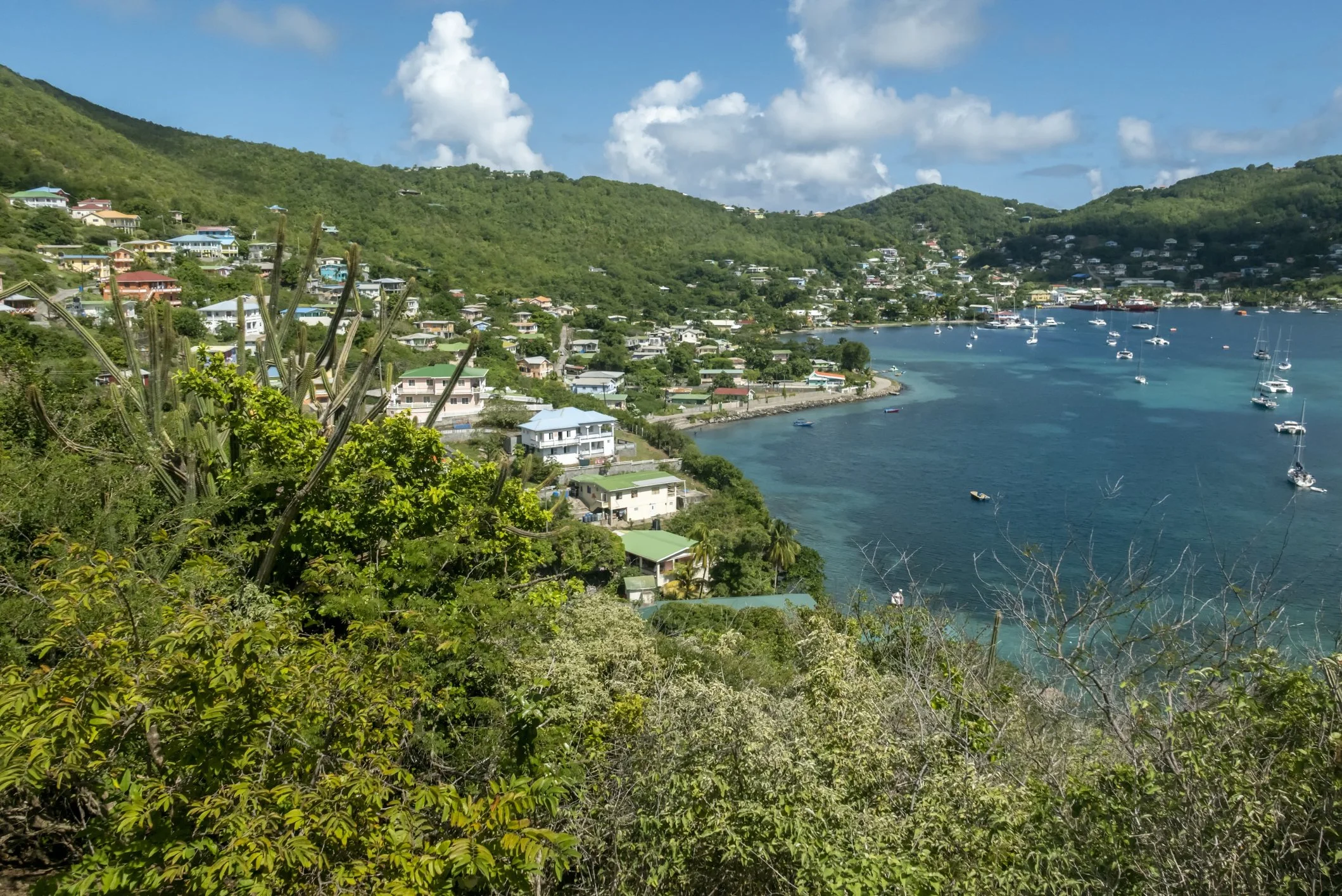 A hillside view of Admiralty Bay in Bequia, Saint Vincent and the Grenadines — pastel homes scattered across lush green slopes overlooking turquoise water and anchored sailboats.