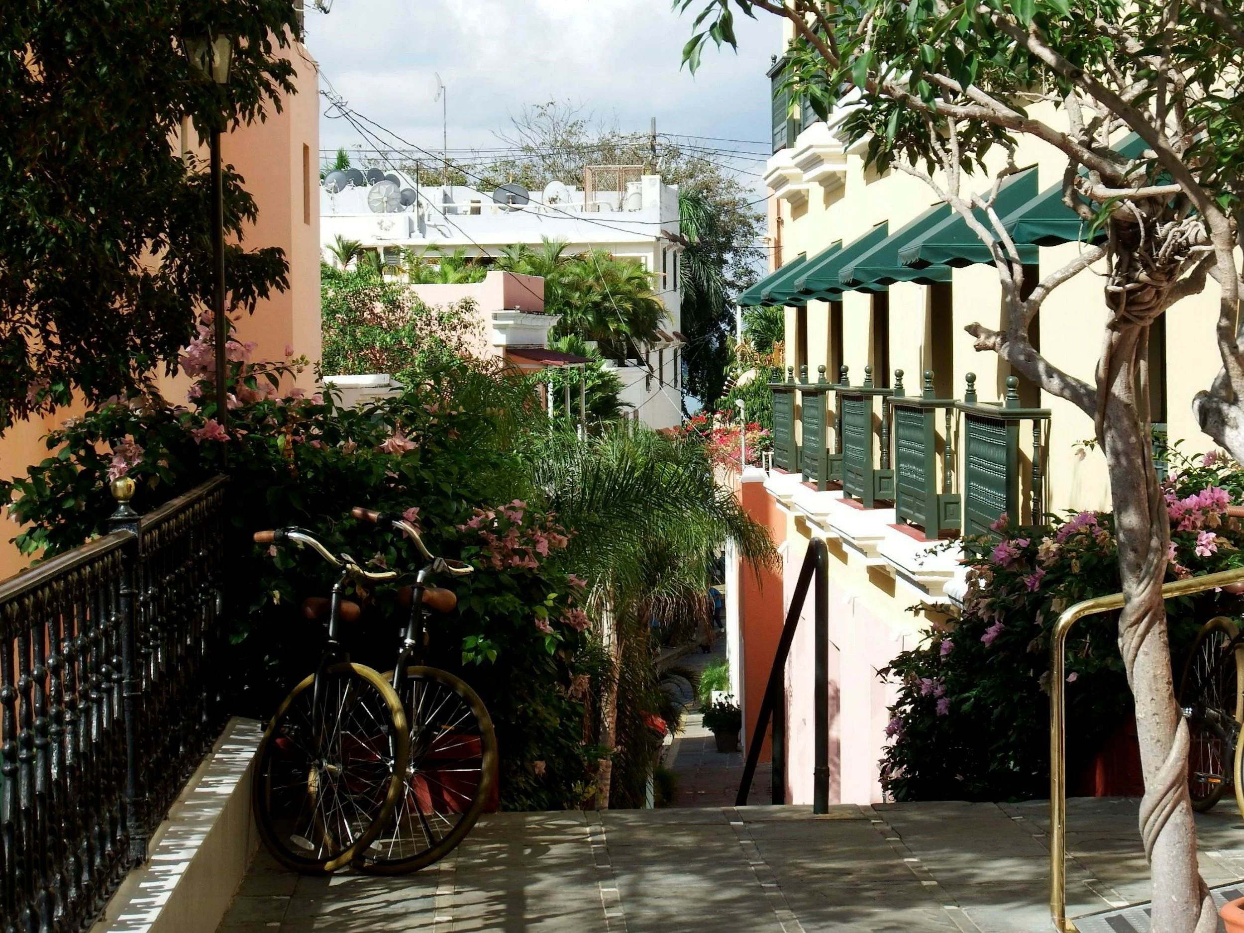 Bicycle beside a leafy Old San Juan street with pastel buildings, green shutters, and flowering bougainvillea.