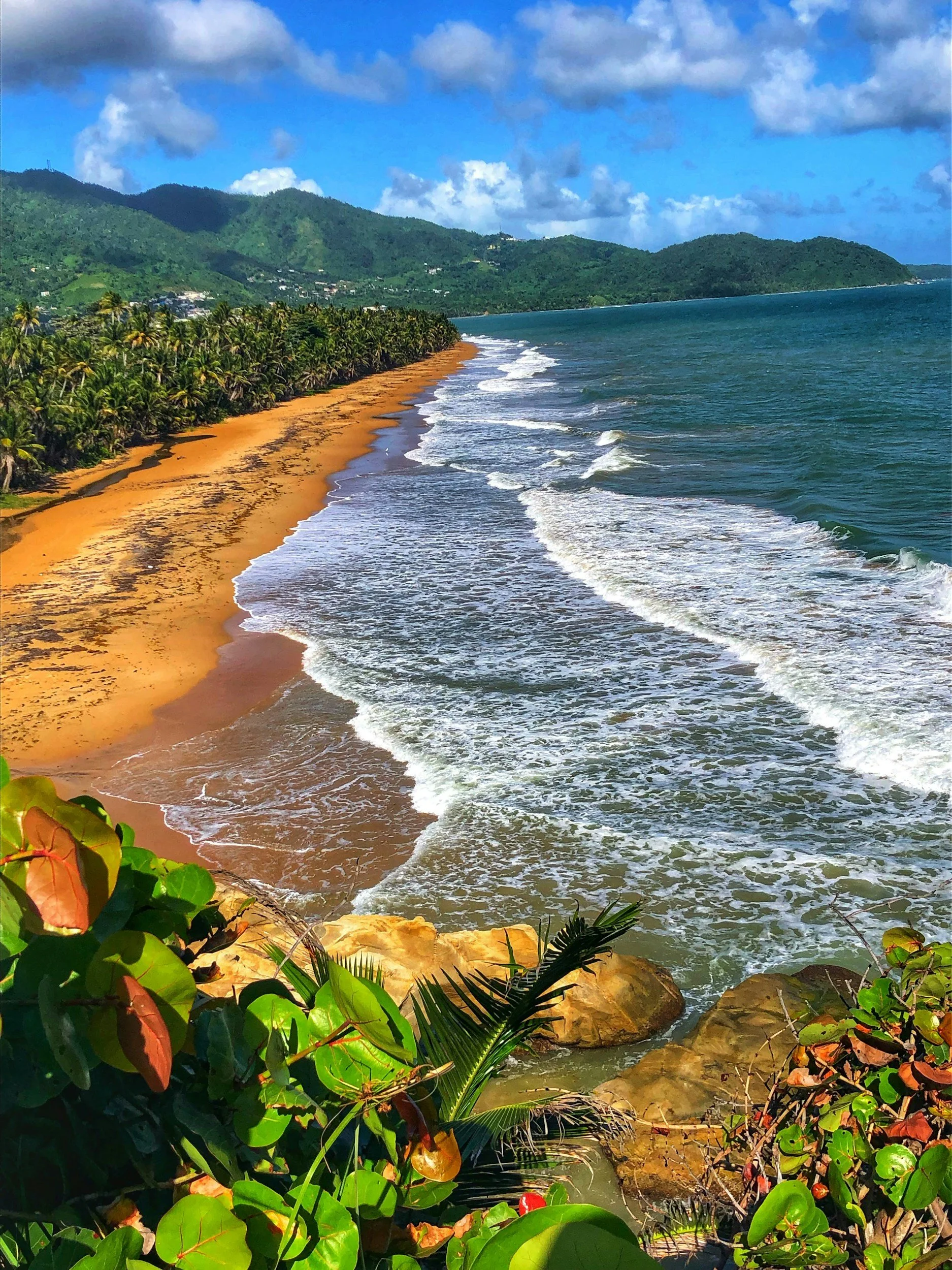 Wide golden-sand beach with gentle surf, a line of palms, and green mountains stretching along the coastline in Puerto Rico.