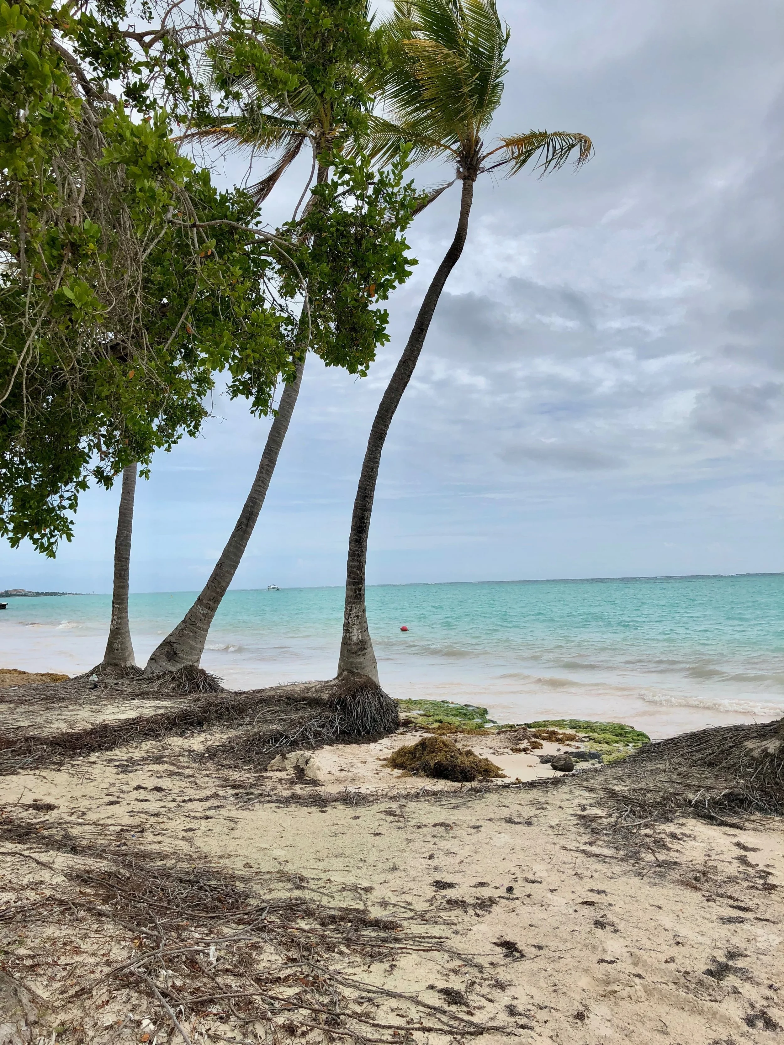 Dominican Republic