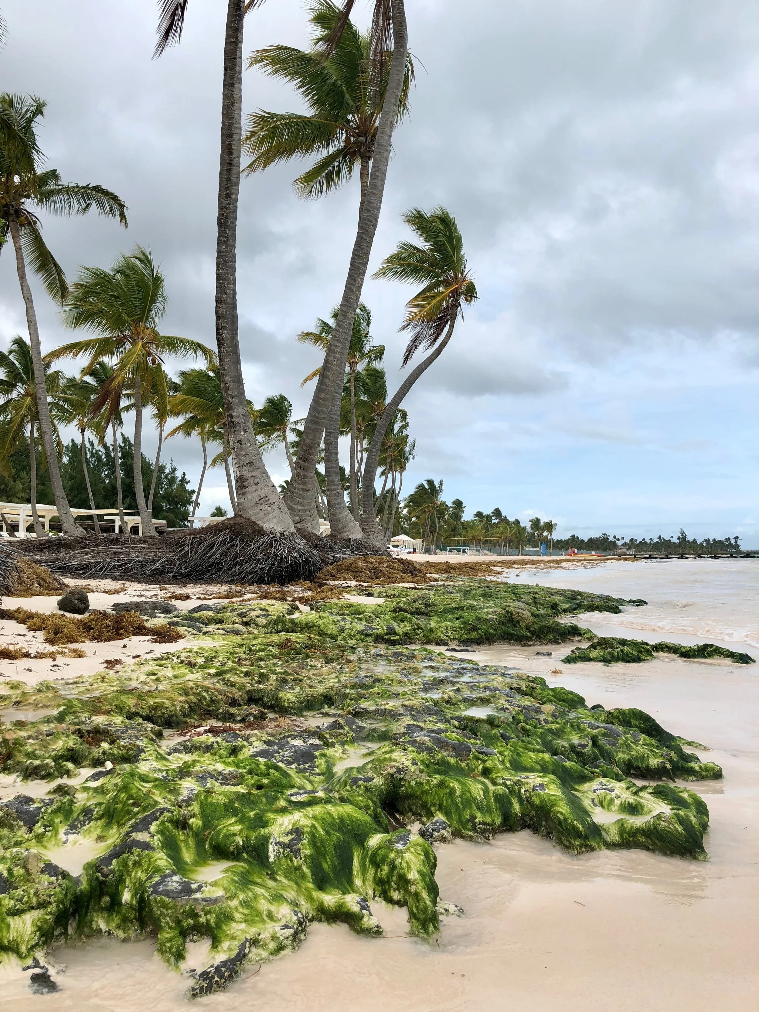 Dominican Republic