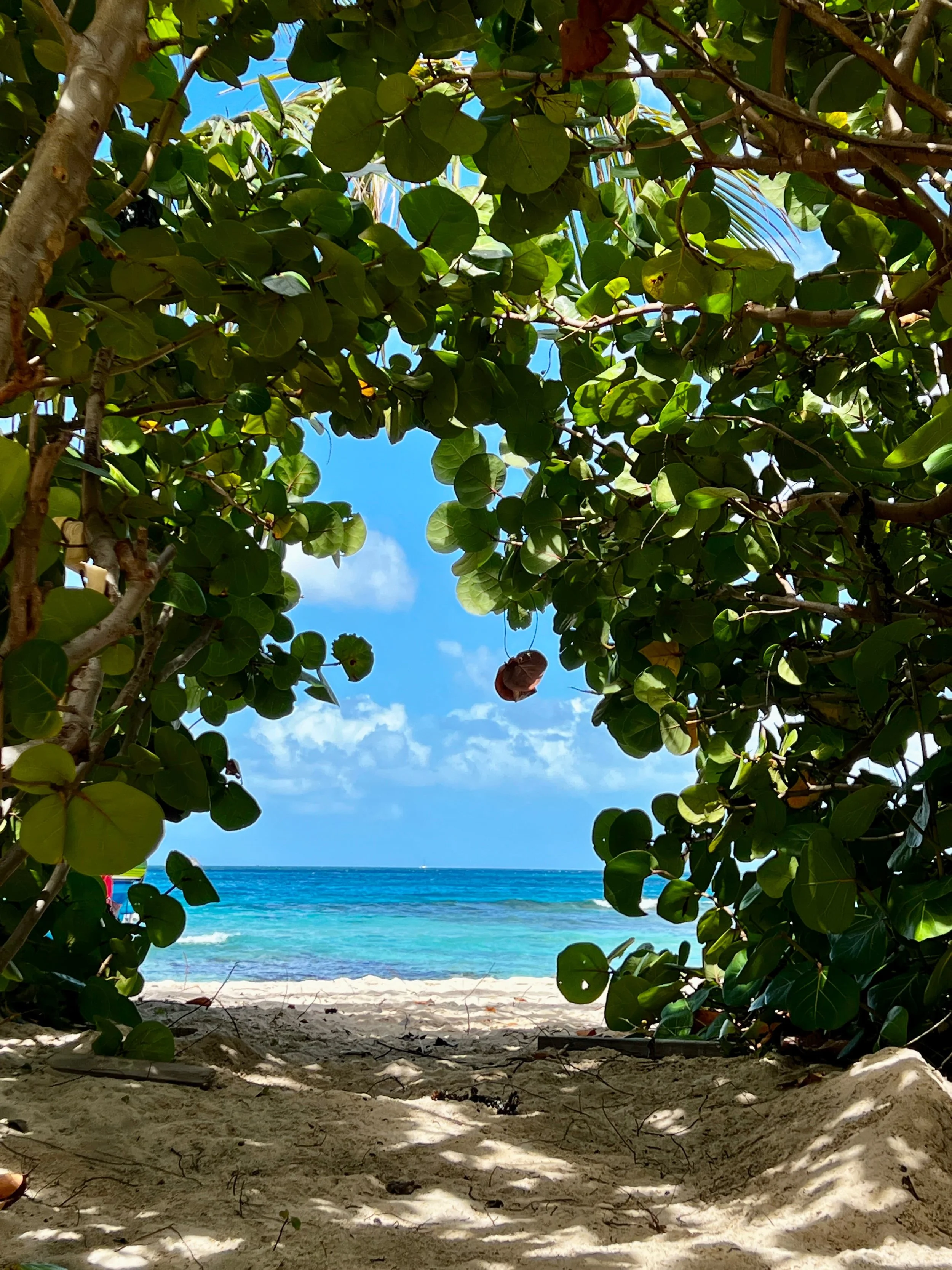 Turks &amp; Caicos