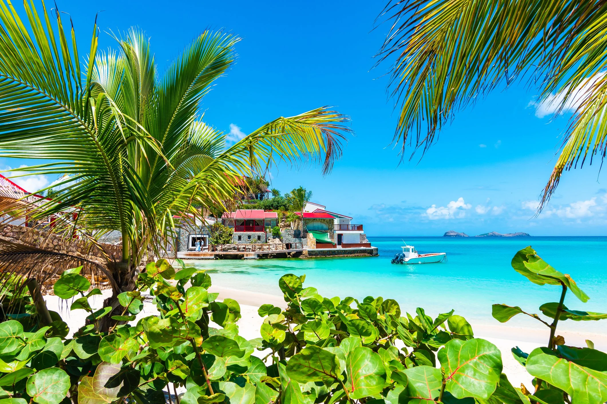 St. Barts