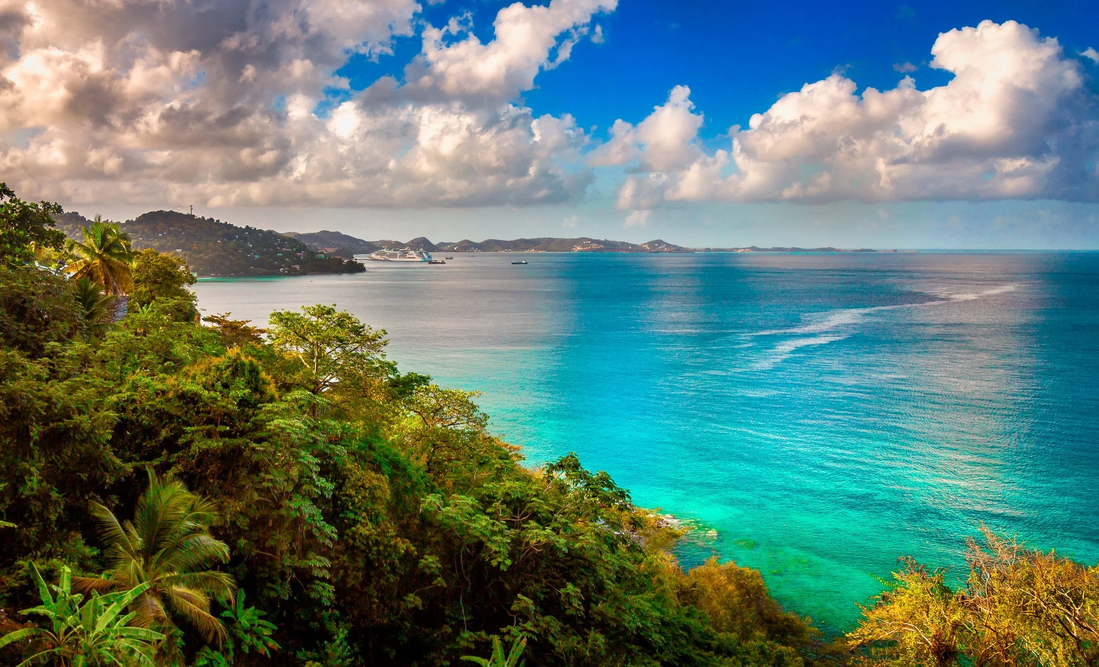 Aerial view of lush tropical foliage with aquamarine water just beyond it on a sunny day with few clouds in the sky