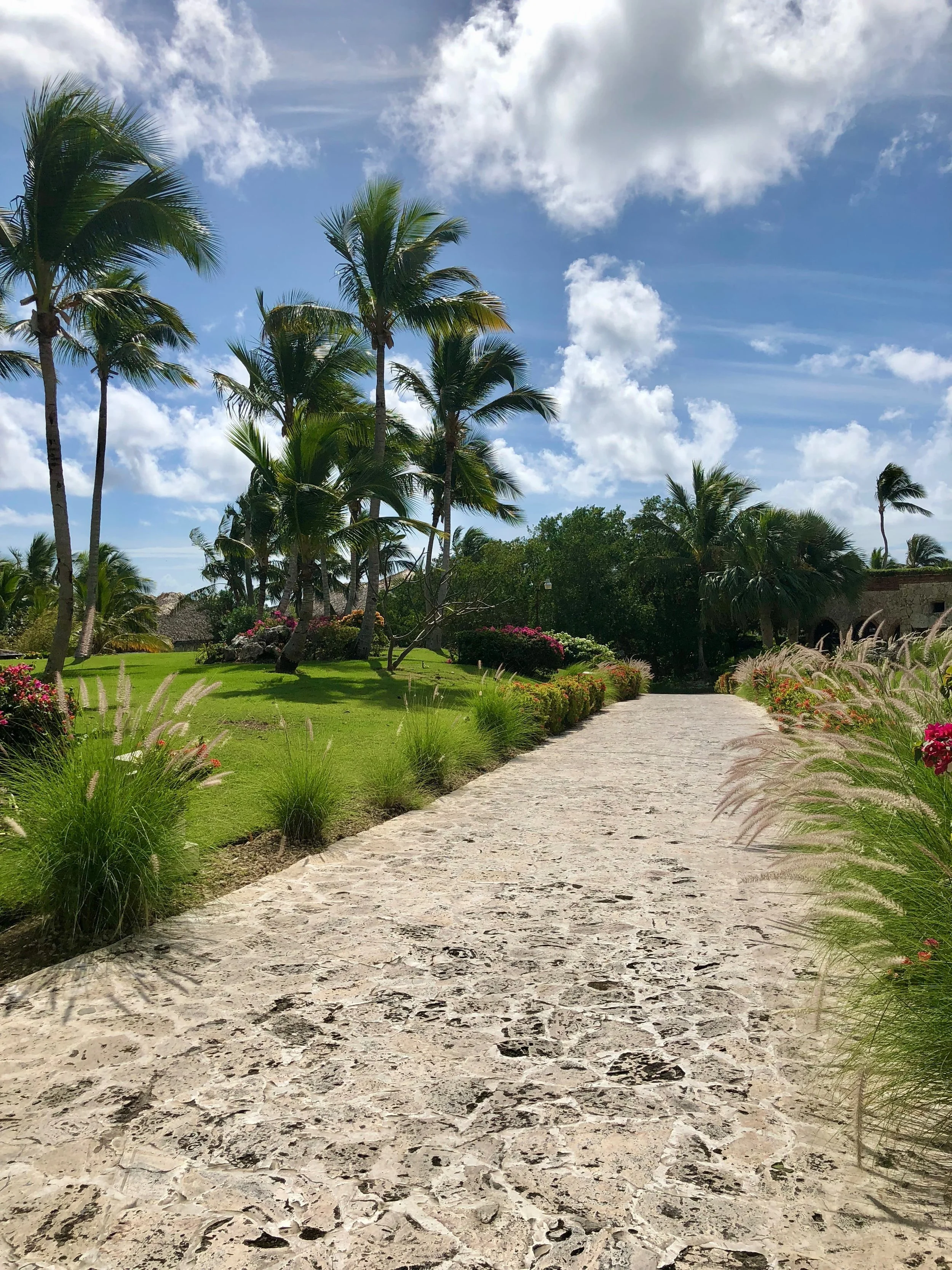 Stone walkway through a Dominican Republic resort garden with palm trees, tropical landscaping, and bright blue sky.