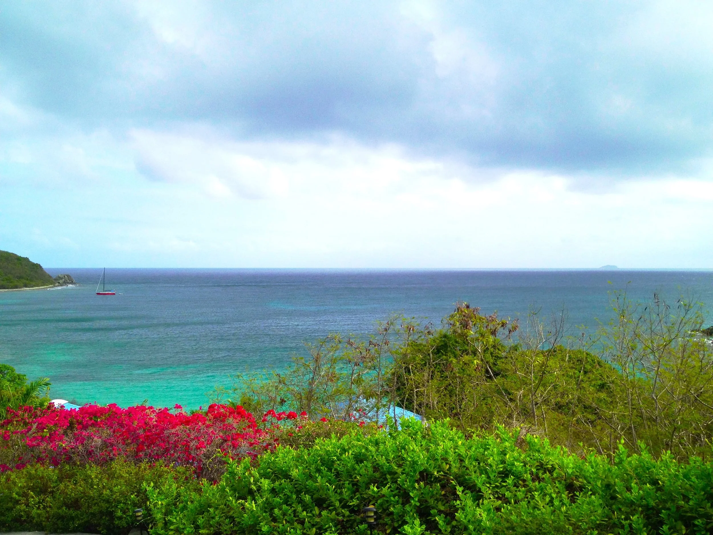 Turquoise ocean view on St. John, USVI, framed by tropical greenery and bright pink bougainvillea on a coastal hillside.