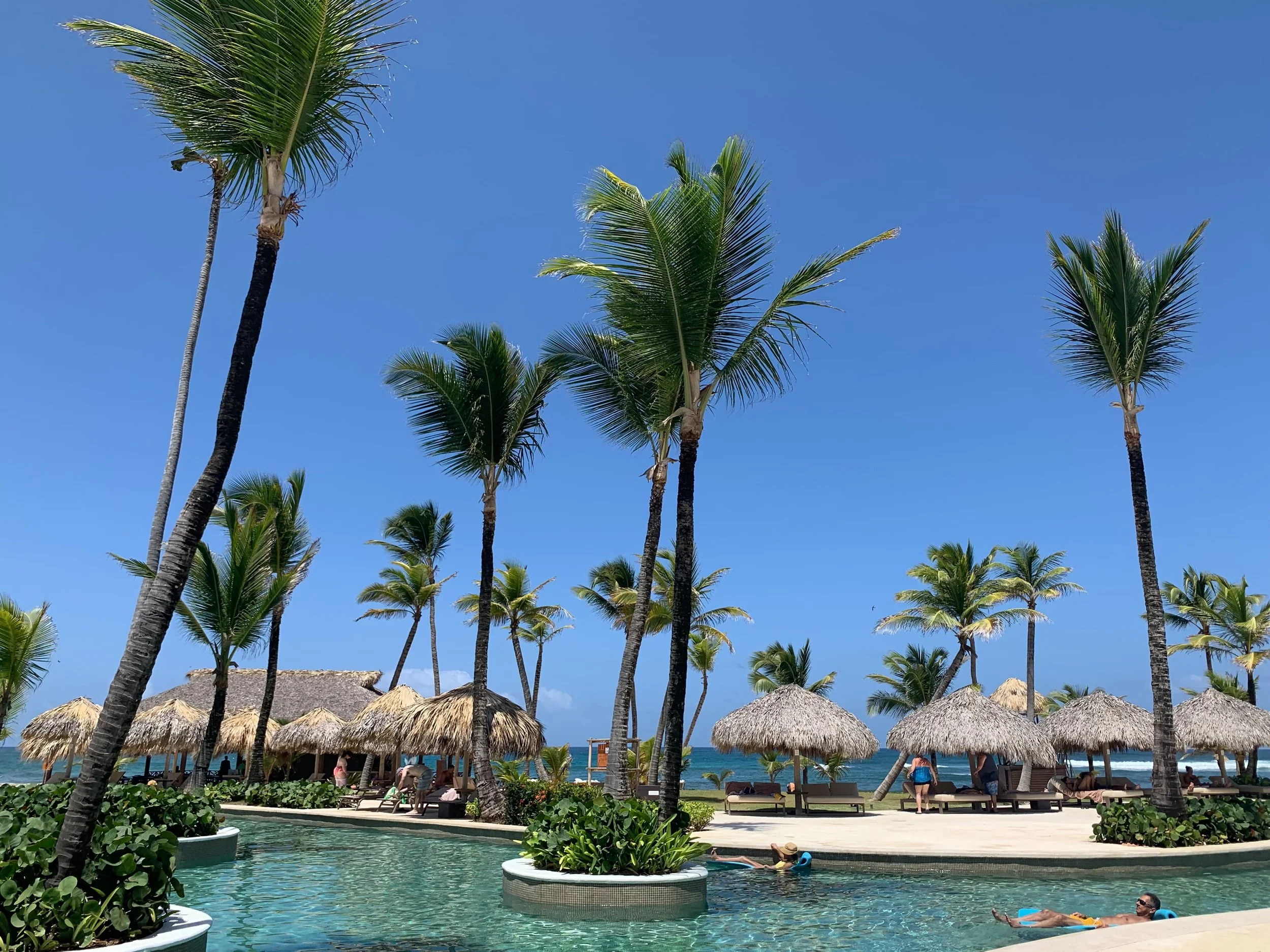 Resort pool facing the ocean in the Dominican Republic with palm trees, thatched palapa umbrellas, lounge chairs, and bright blue sky.