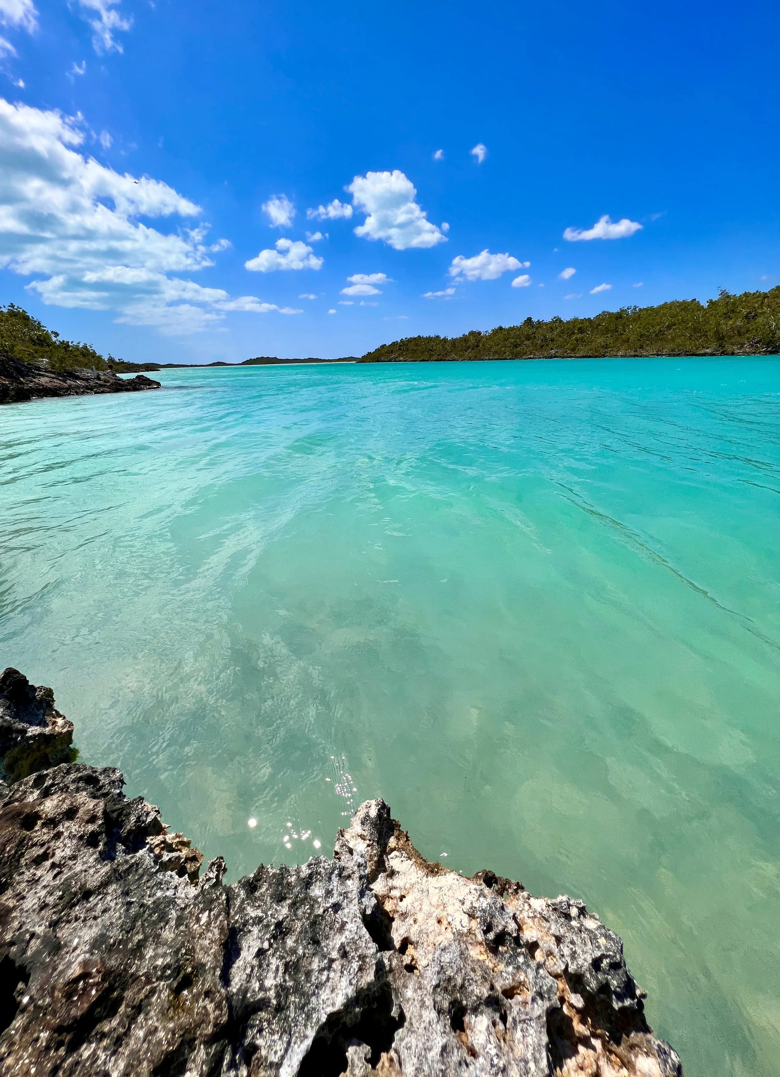 Turks and Caicos shallow turquoise water with rocky shoreline and clear blue sky — bright, calm, and glassy.