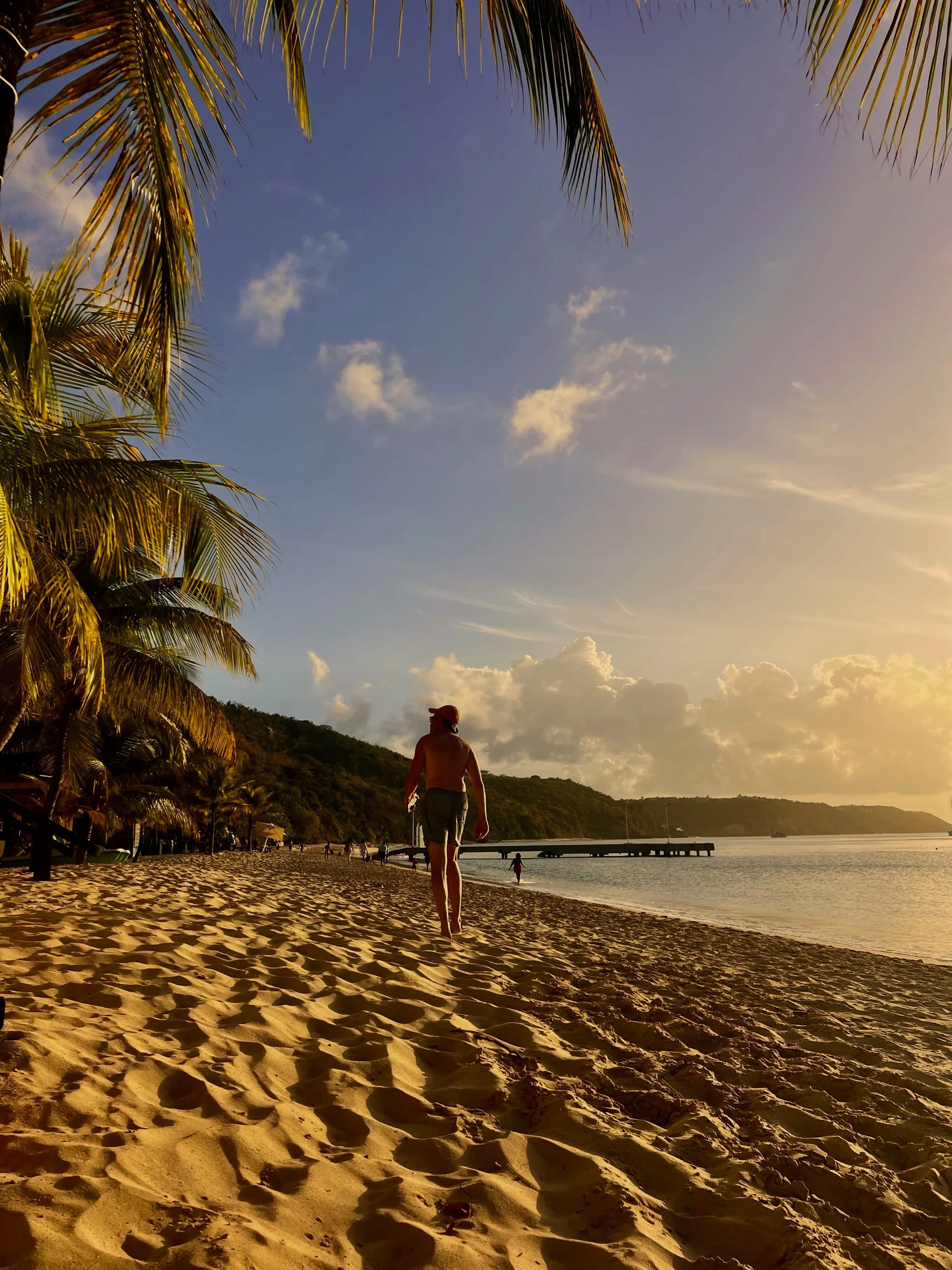 Man walking on a beach next to a palm tree with a dock in the distance in Anguilla