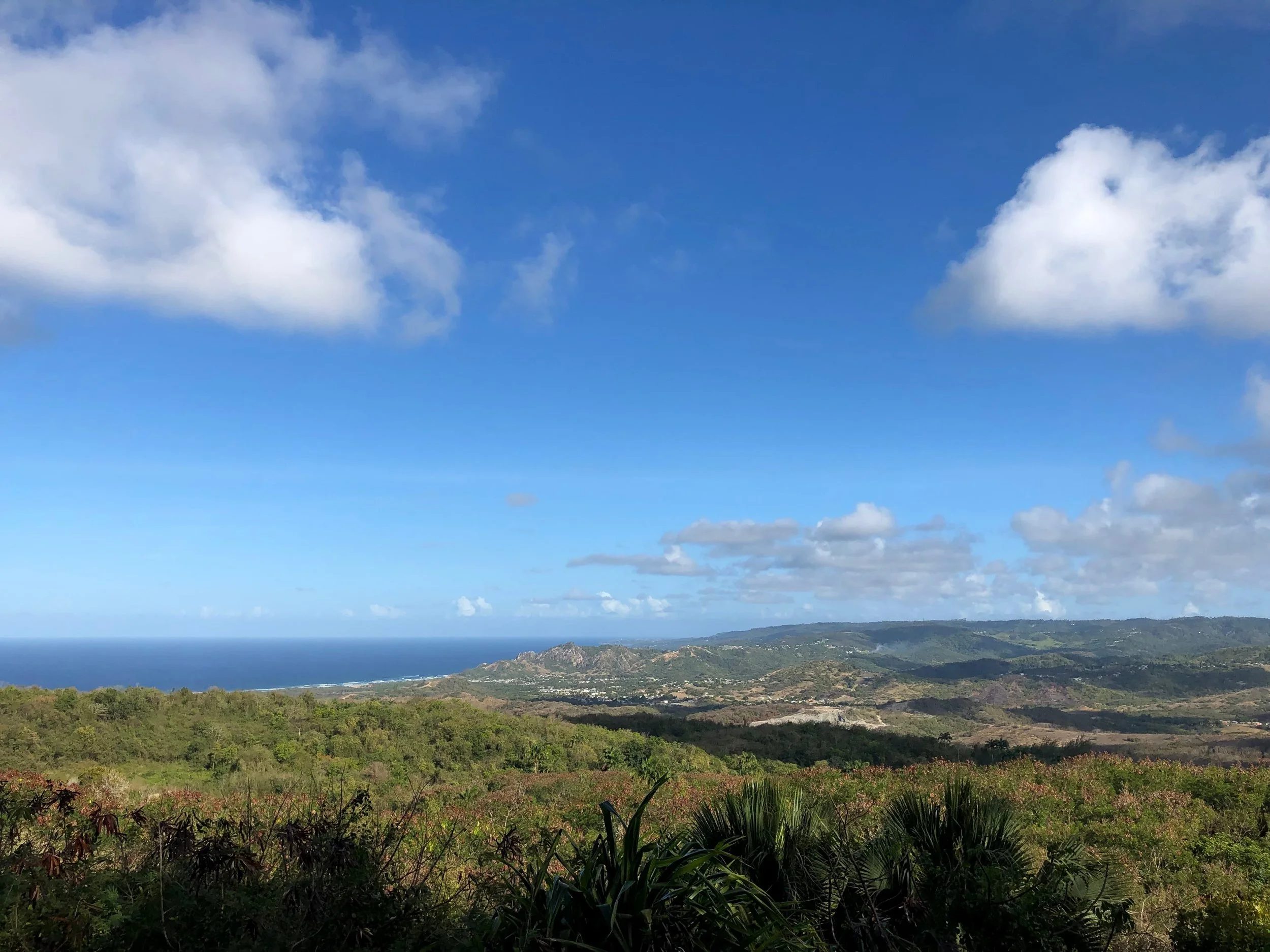Panoramic view across Barbados’ rugged east coast from the island’s highlands — rolling green hills, distant cliffs, and the Caribbean Sea under a blue sky.