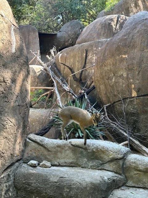 Nature