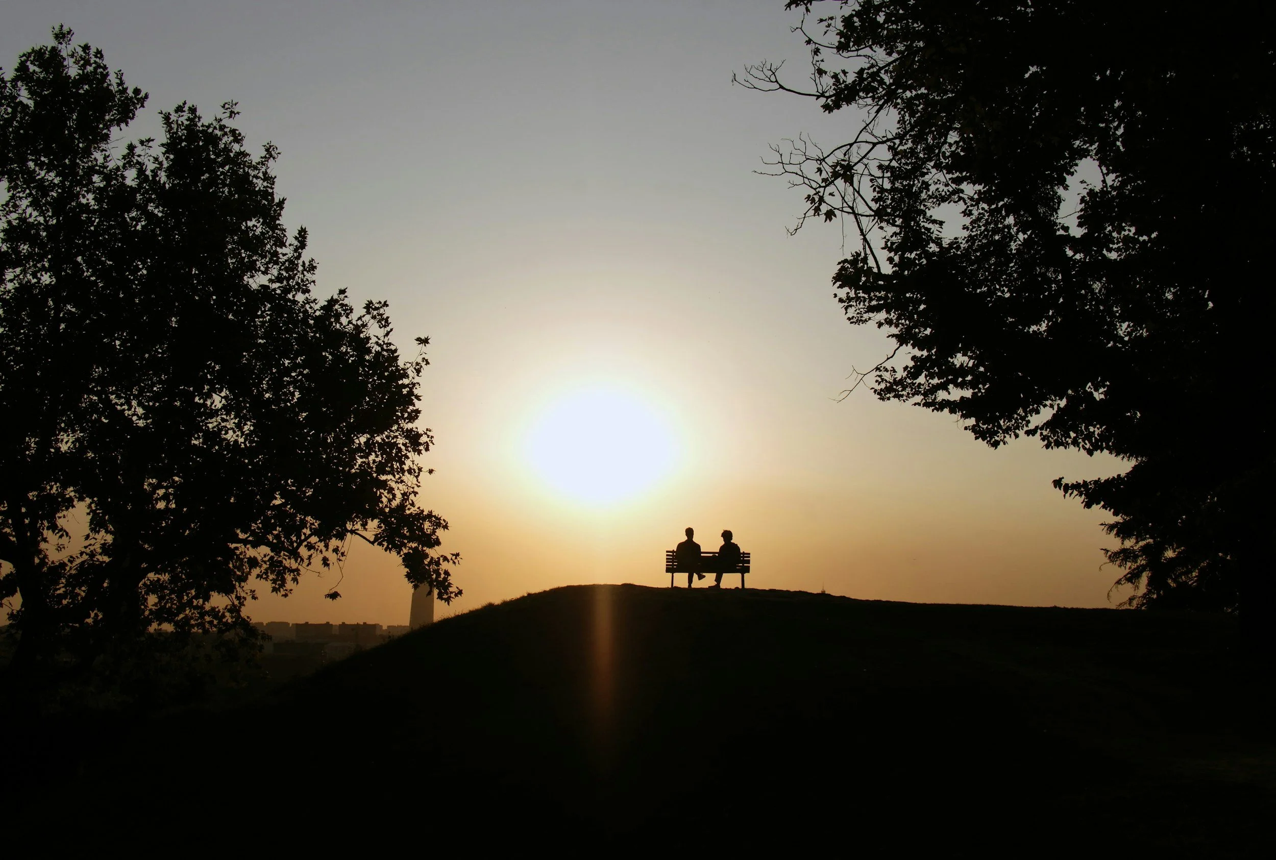 Two people sitting on a park bench on a hill at sunset, with trees on either side and a city skyline in the distance.