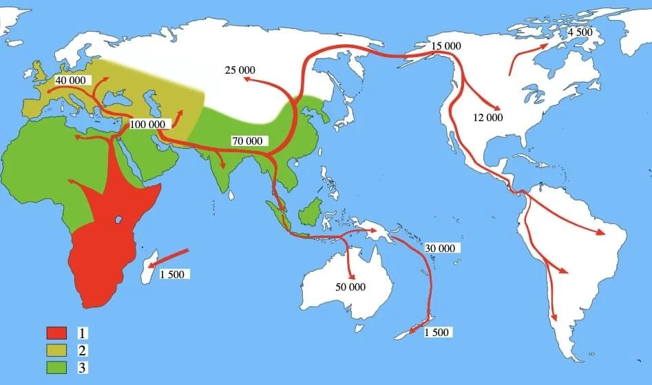 Destabilization & Forced Migration
