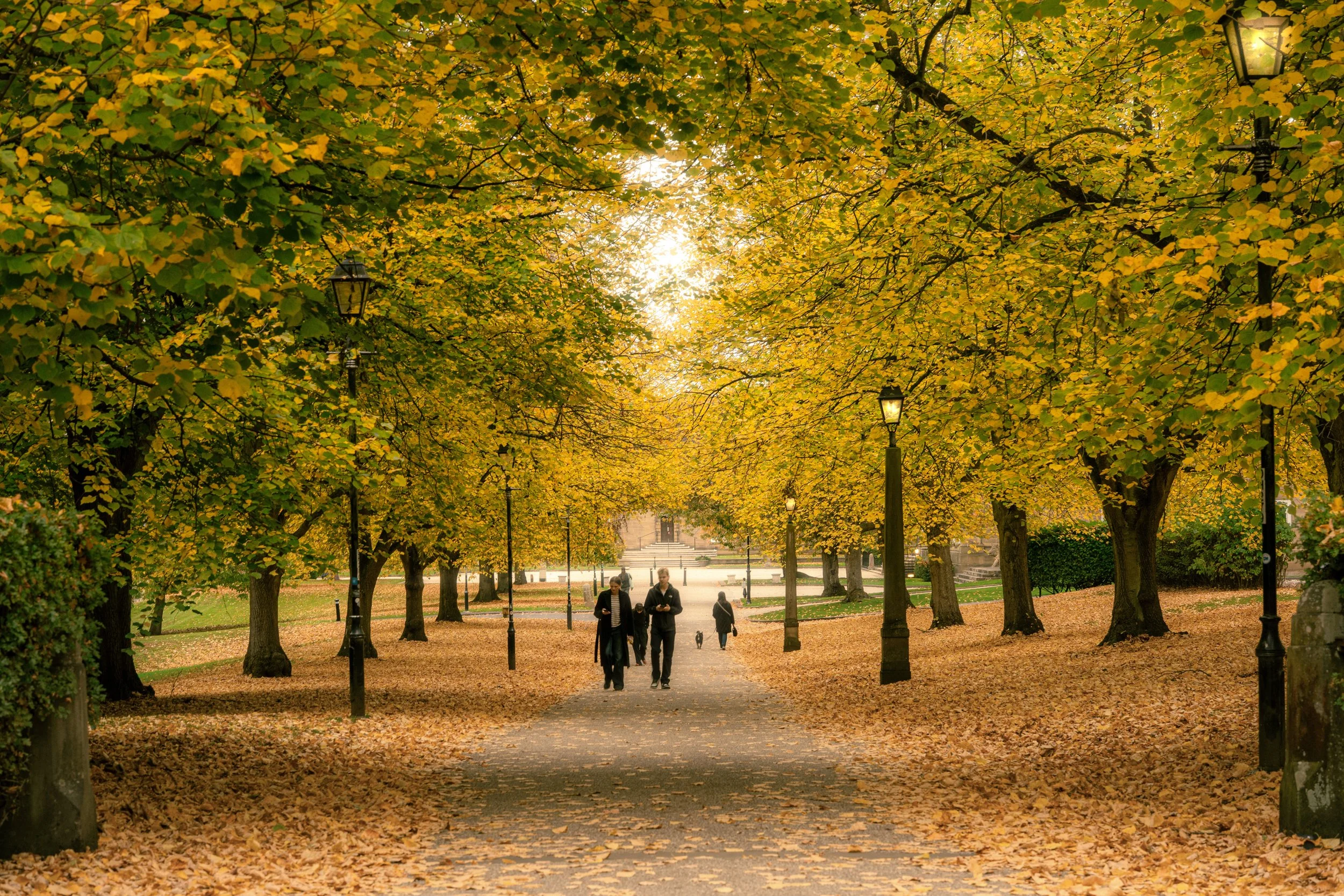 An autumn landscape shot taken on Durham Photography Workshop around Durham University