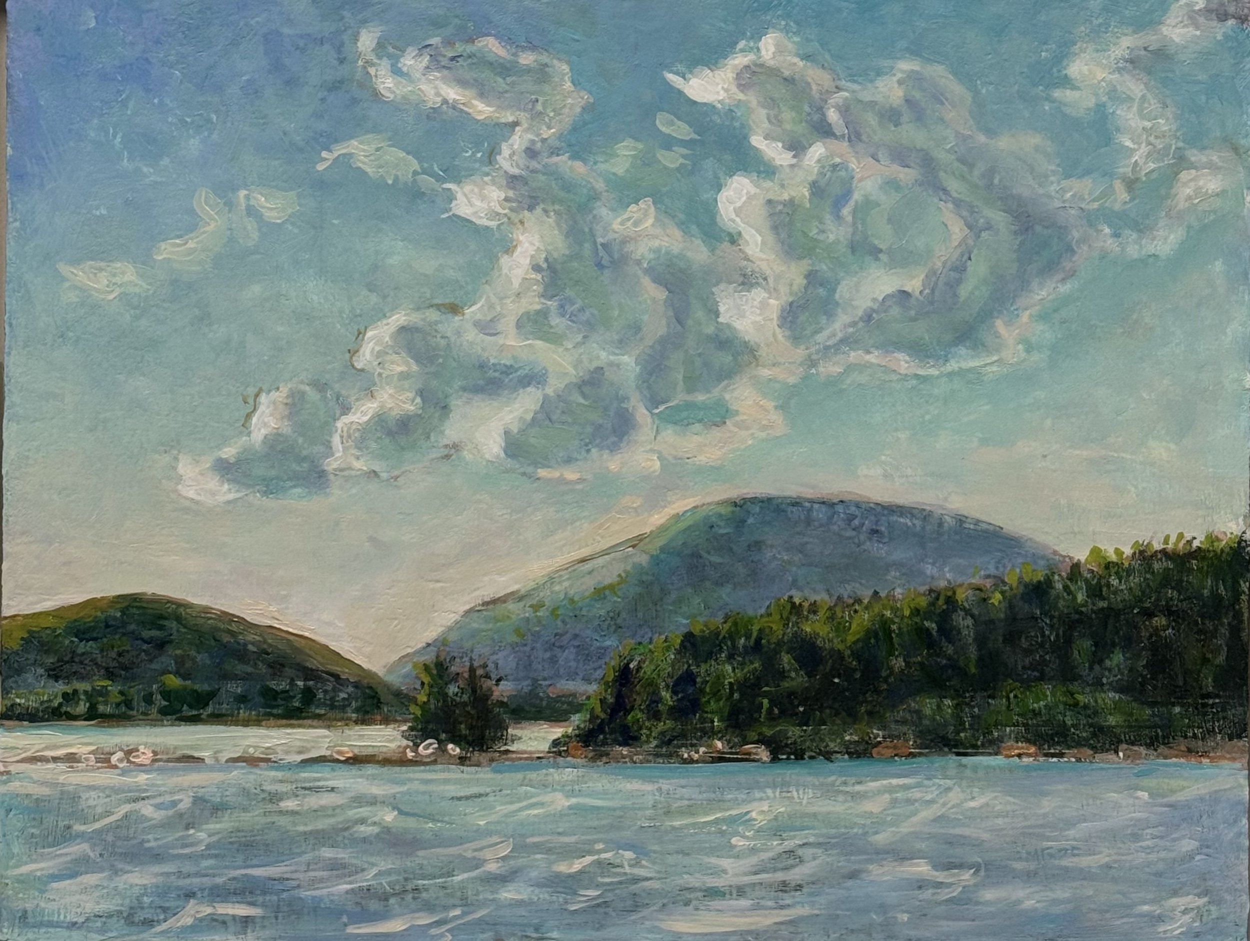 Peaks and Tides 16"x20" oil on wood panel
framed $1700