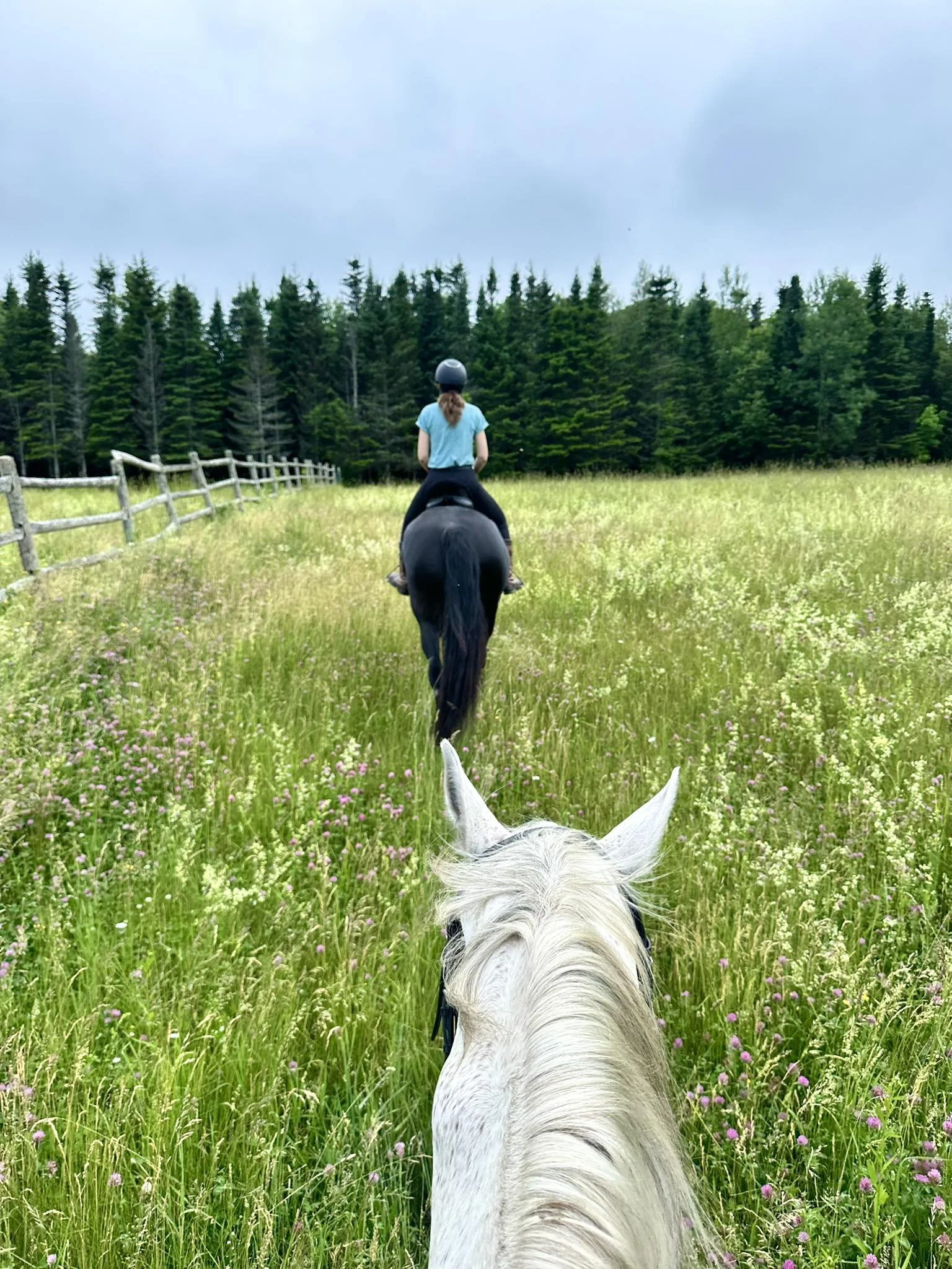 Trail riding fields.jpg