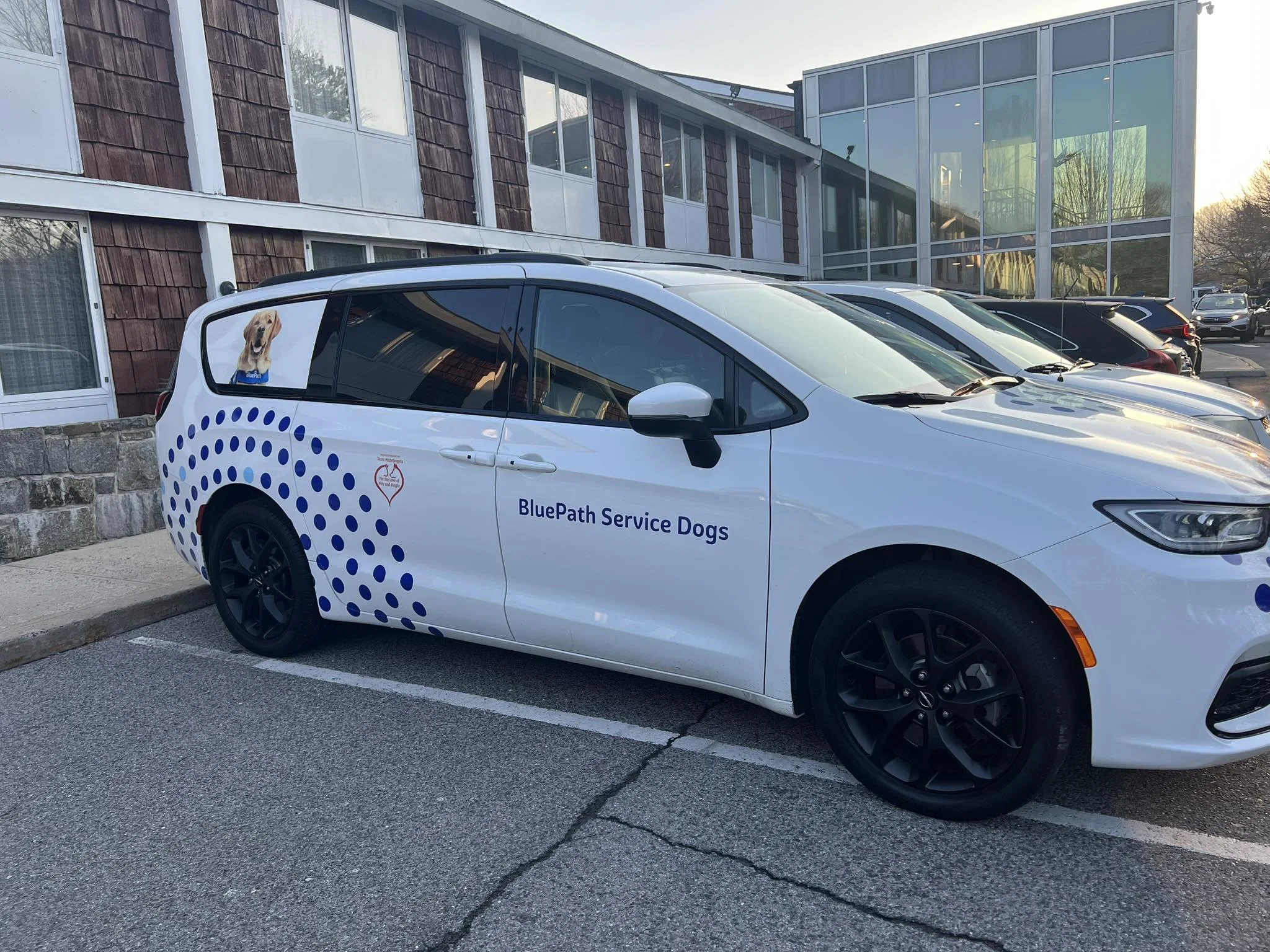 BluePath Service Dogs.jpg