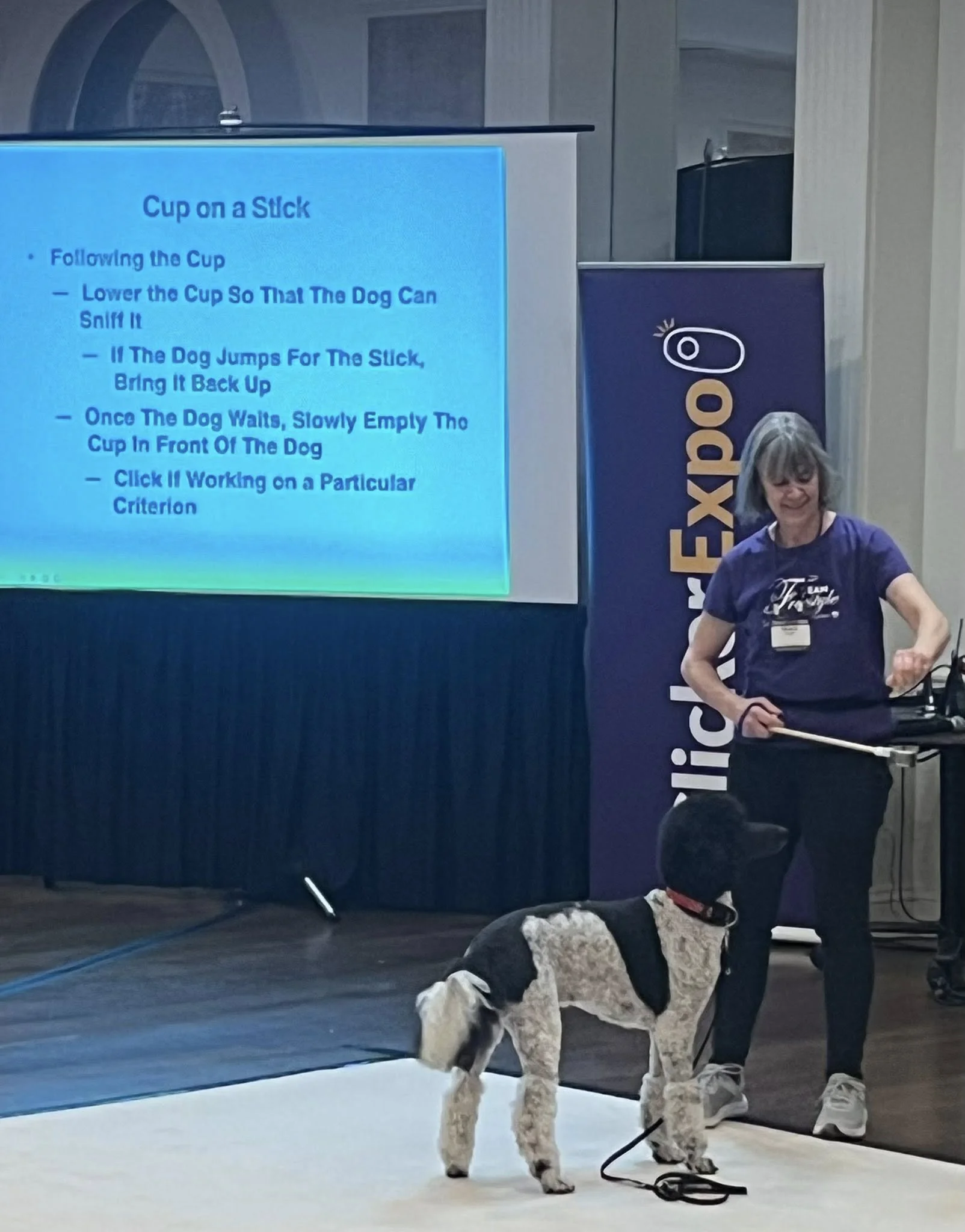 Diana Skipper Demo.jpg