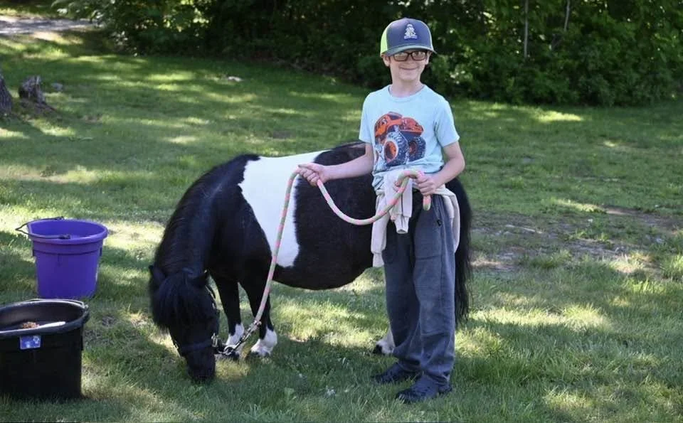 mini horse new friend.jpg