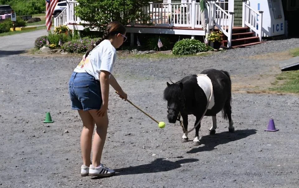 mini horse target cone game fun.jpg