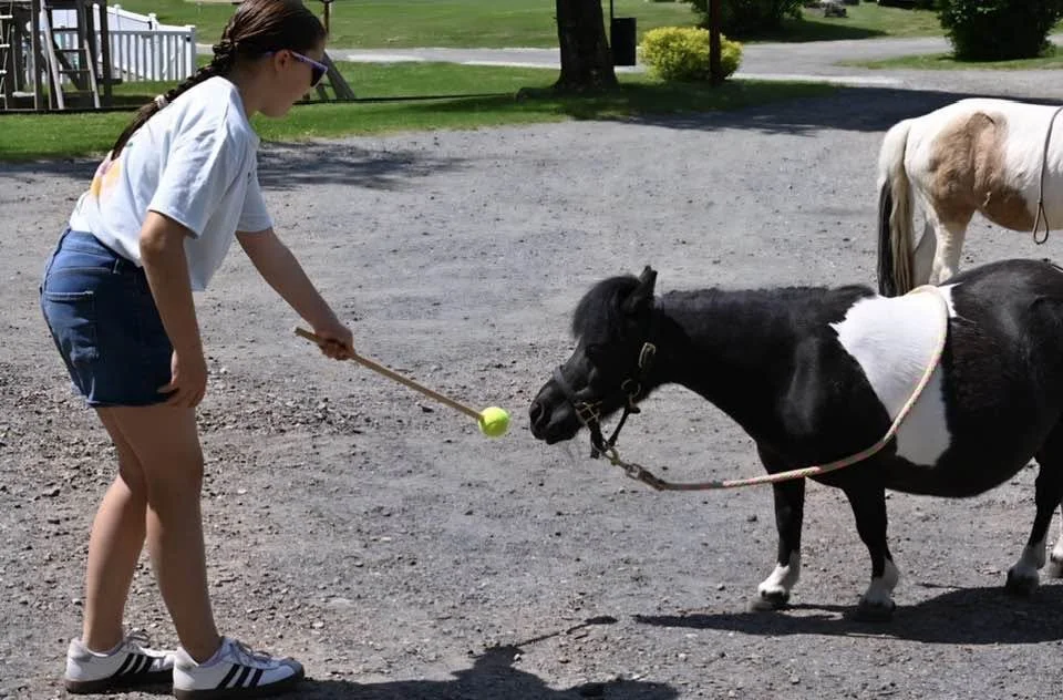 mini horse target game child play.jpg