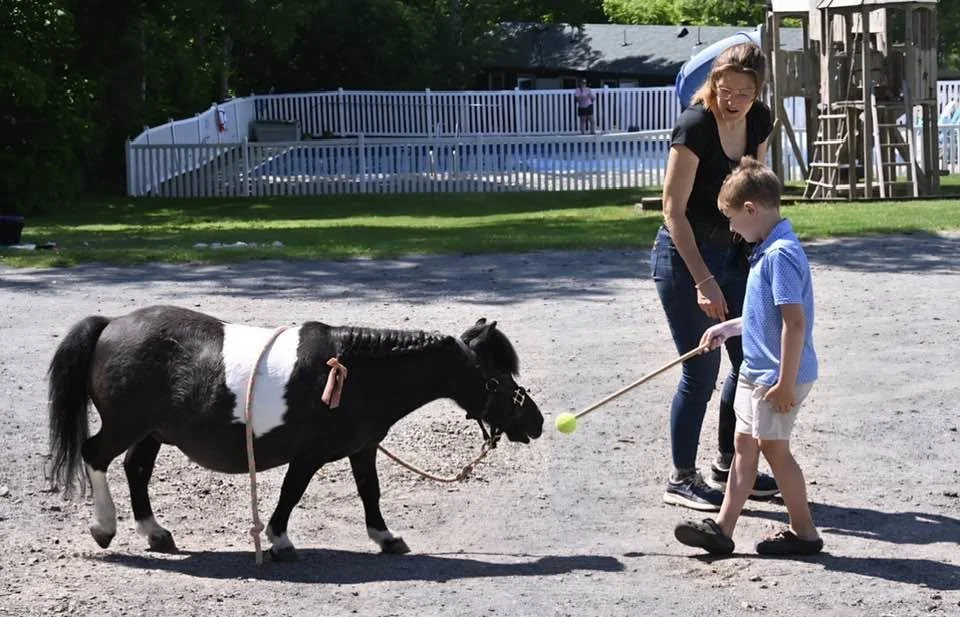 mini horse target game kids.jpg