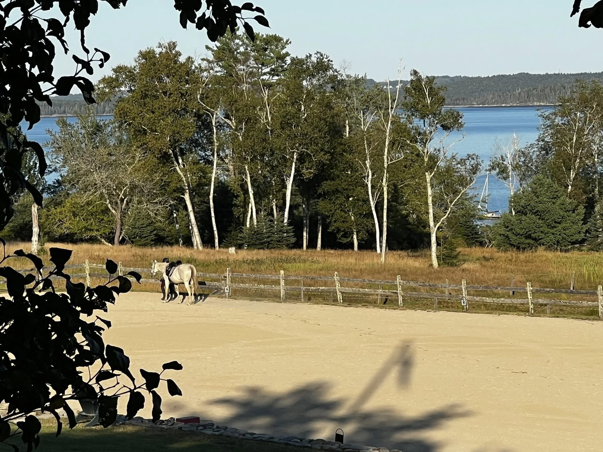 Pripet Farm Ocean View Equestrian.jpg