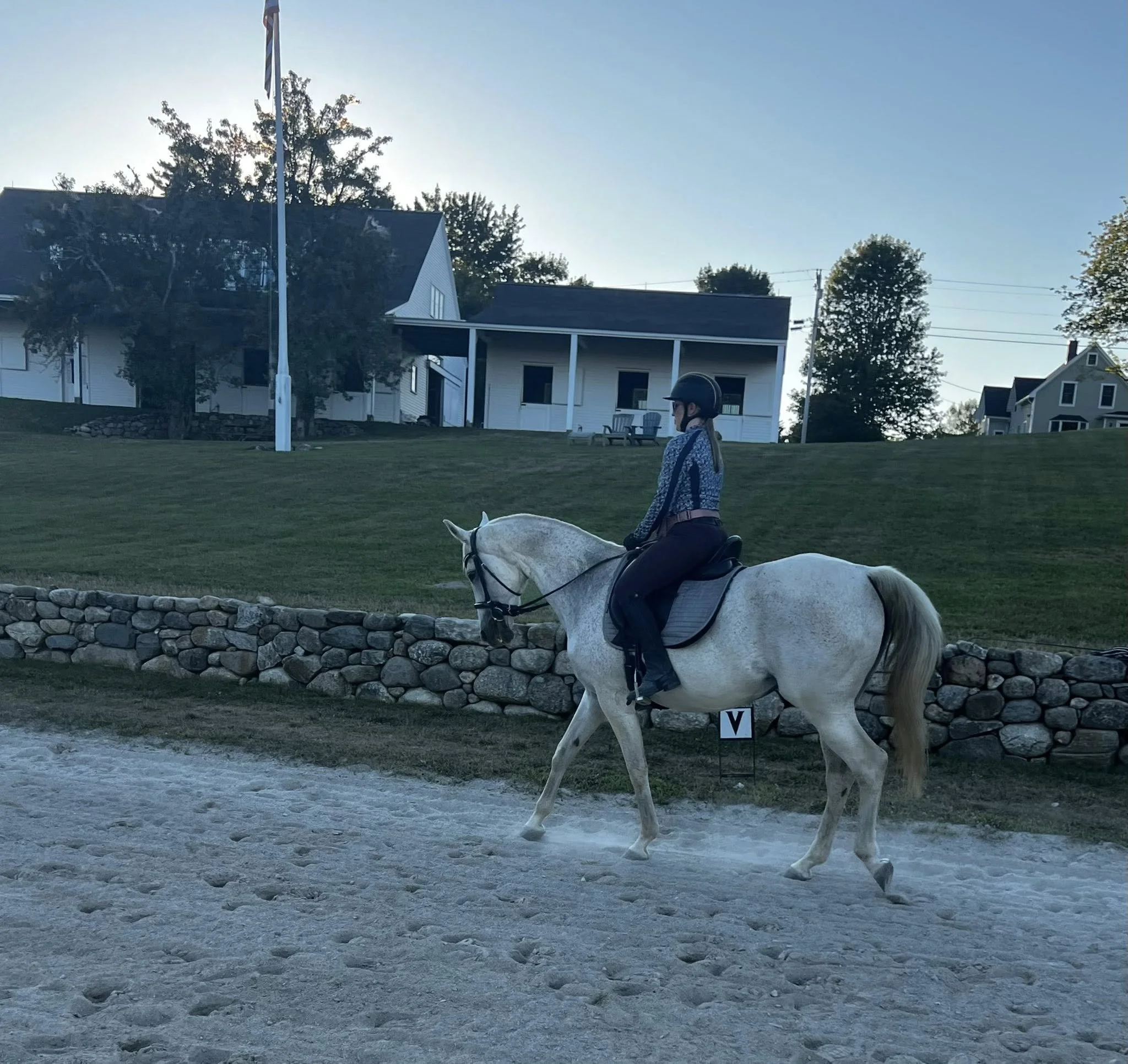 Clicker Training Pripet Farm Riding.jpg