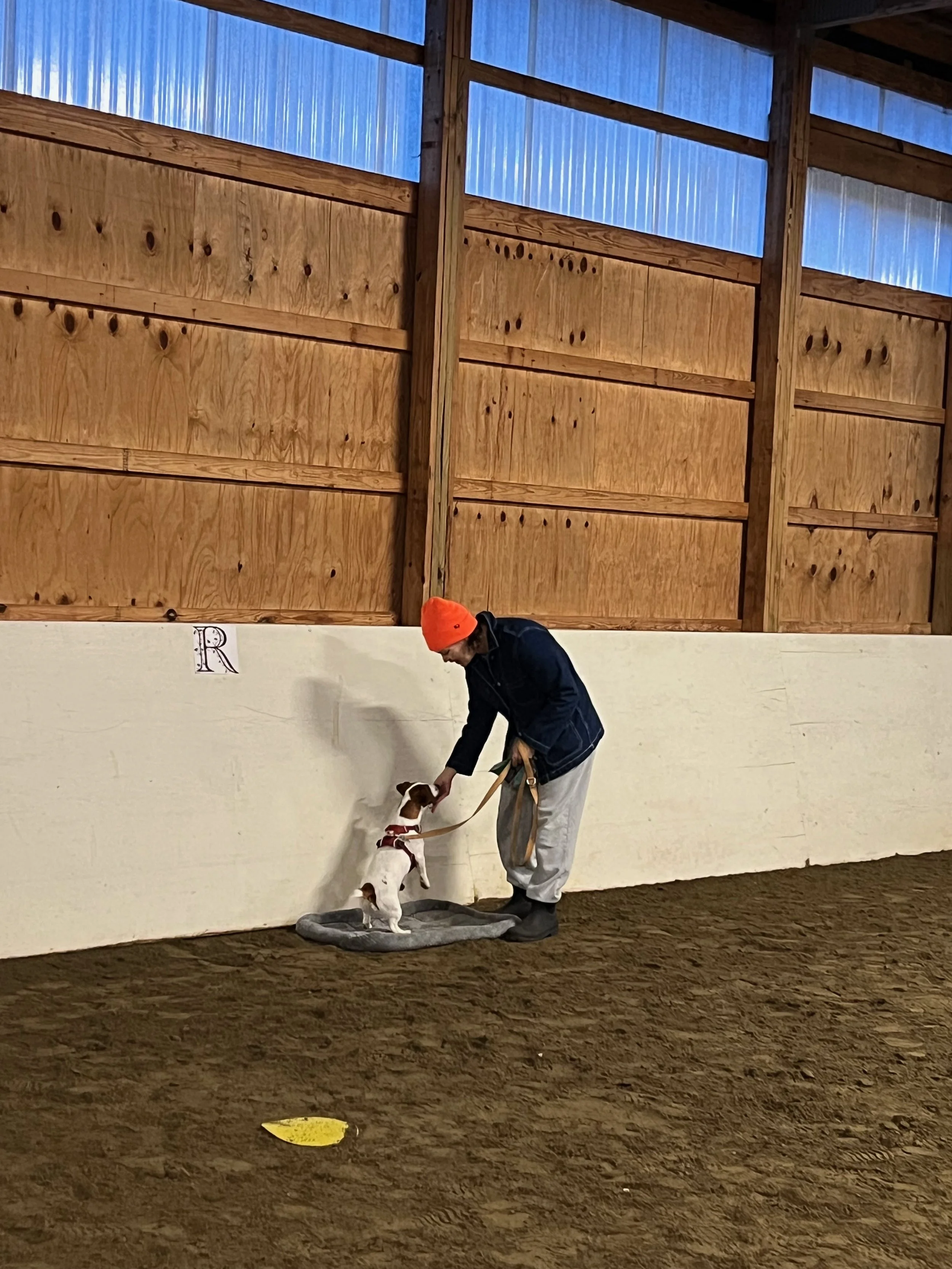 dog-clicks-reward-training-moose-ridge-farm.jpg