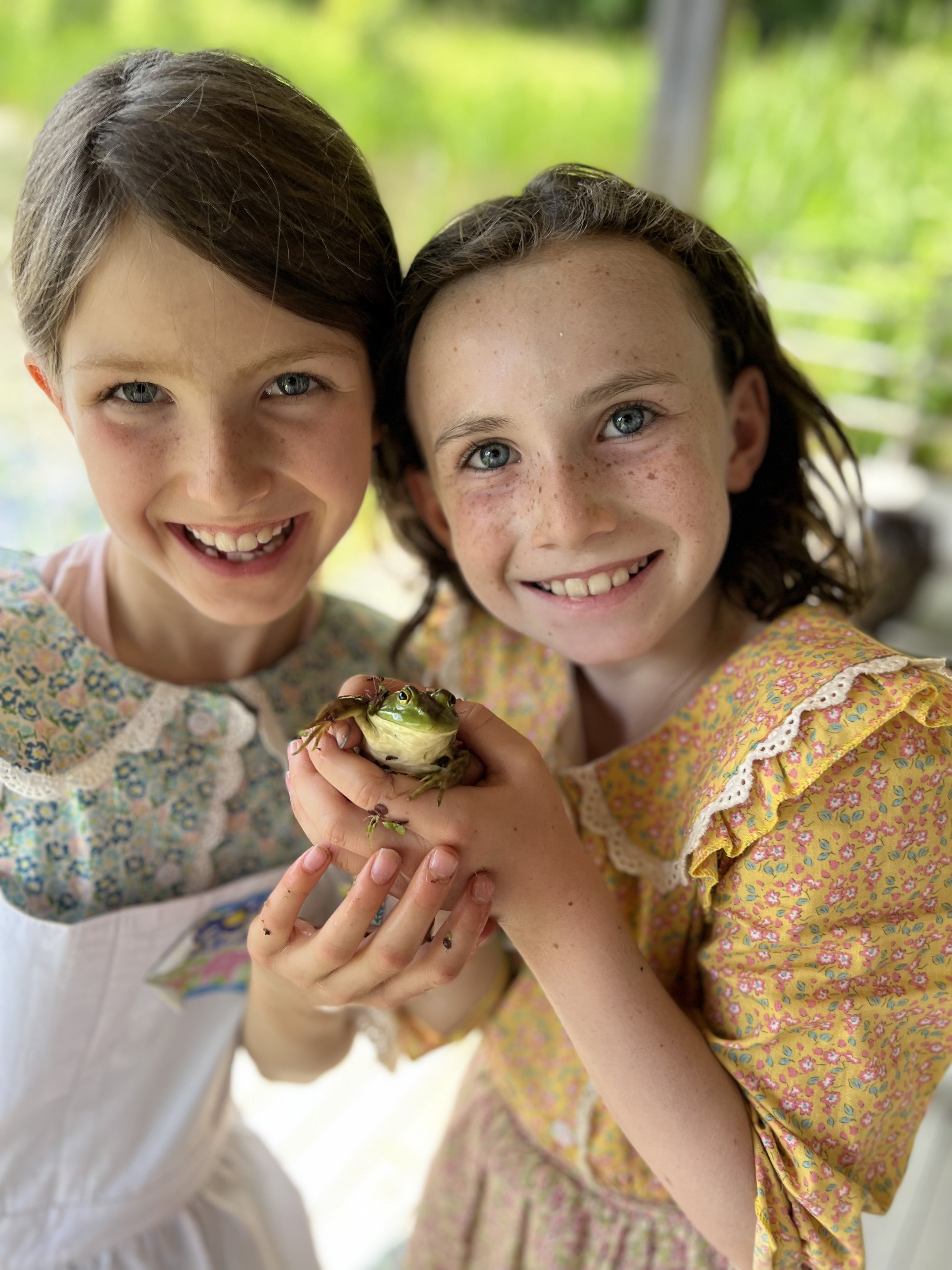 Pioneer Camp Frog.jpeg