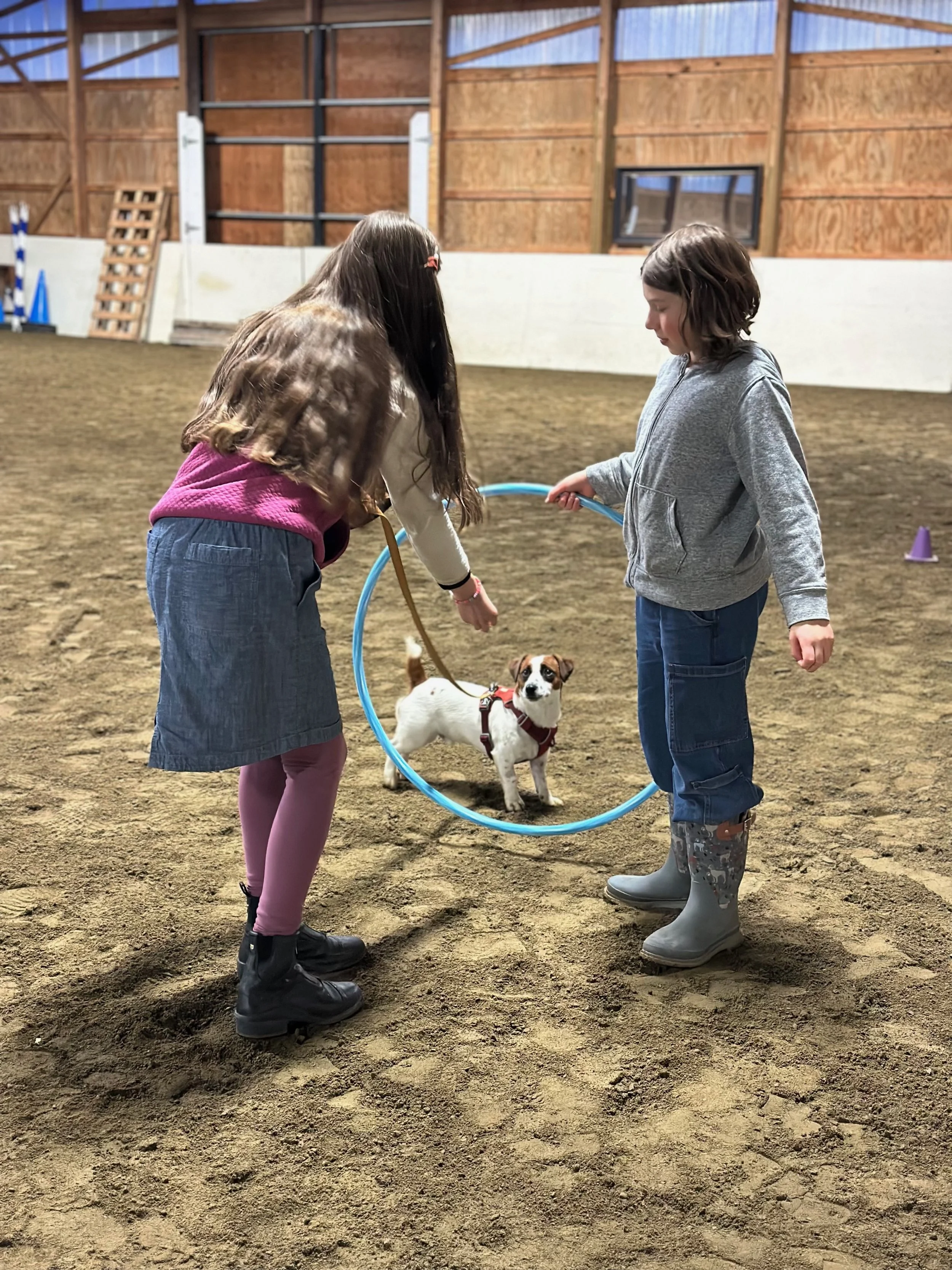 Dog Clicks: Fall 2026 Positive Dog Training in Midcoast Maine