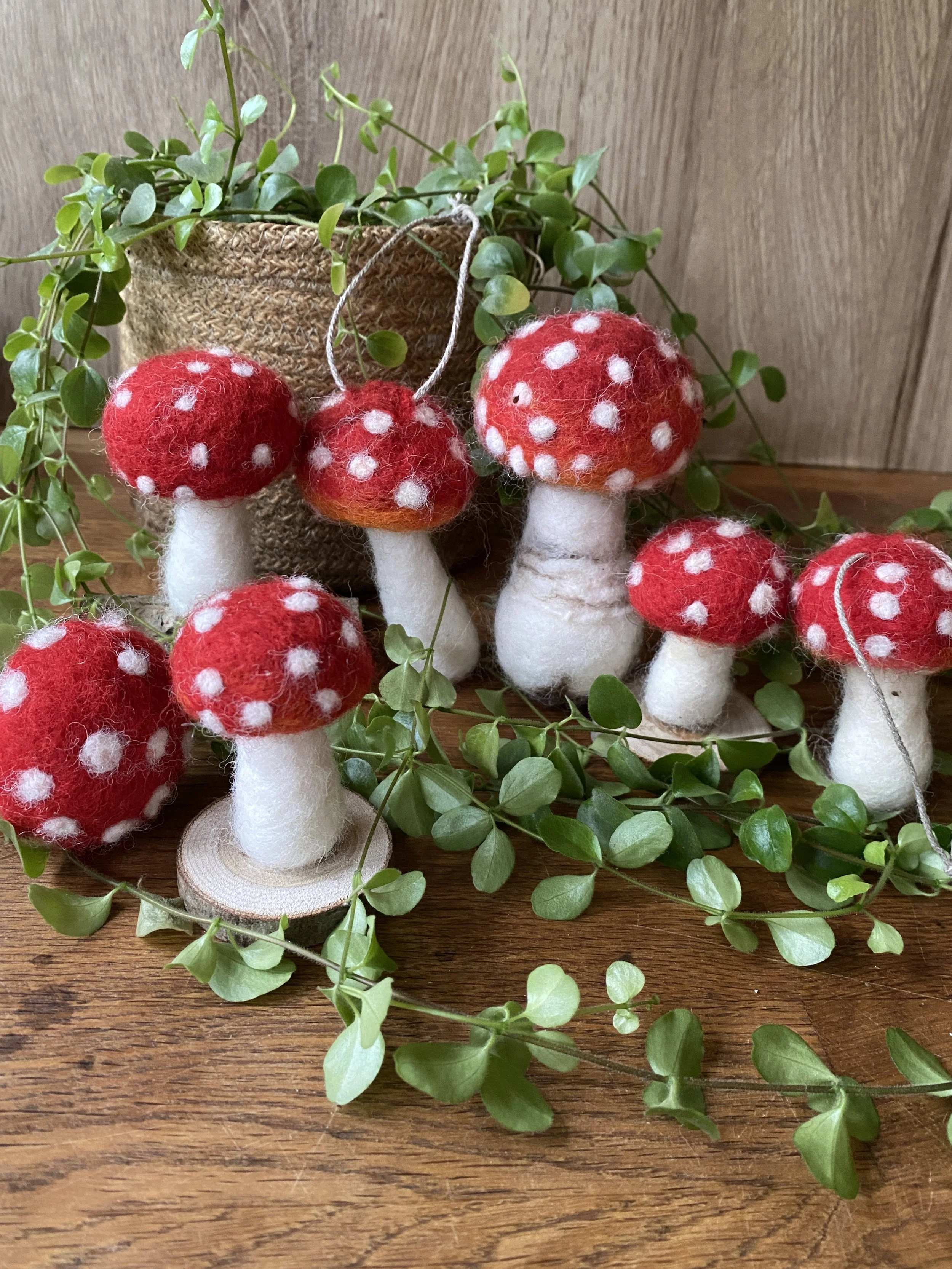 Felted Forest Mushrooms