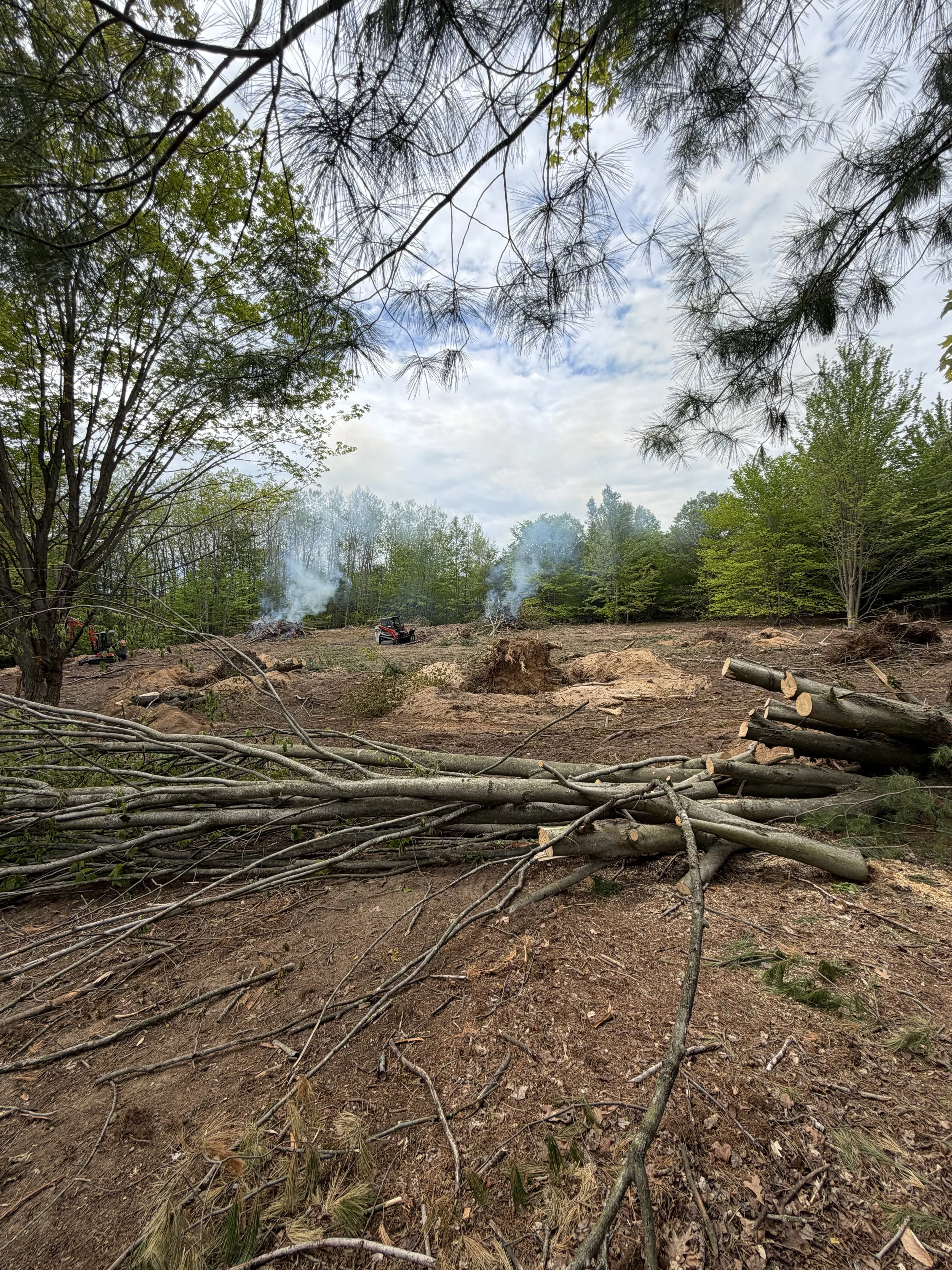Land clearing job in New Era Michigan Removing trees for house construction.