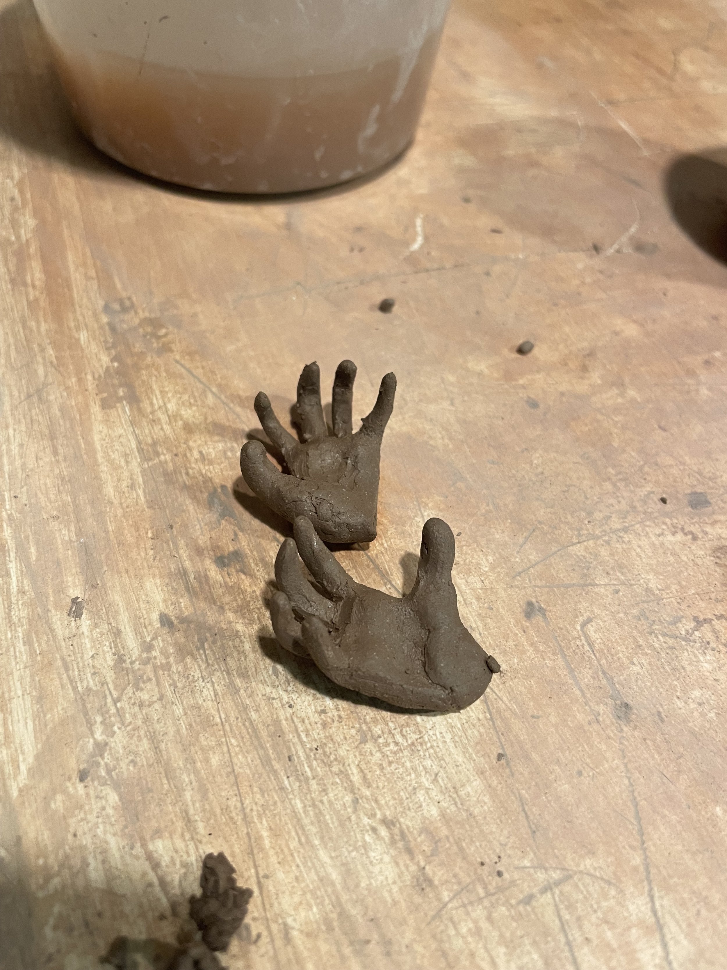 Photo Jan 16 2024, 10 48 14 AM.jpg