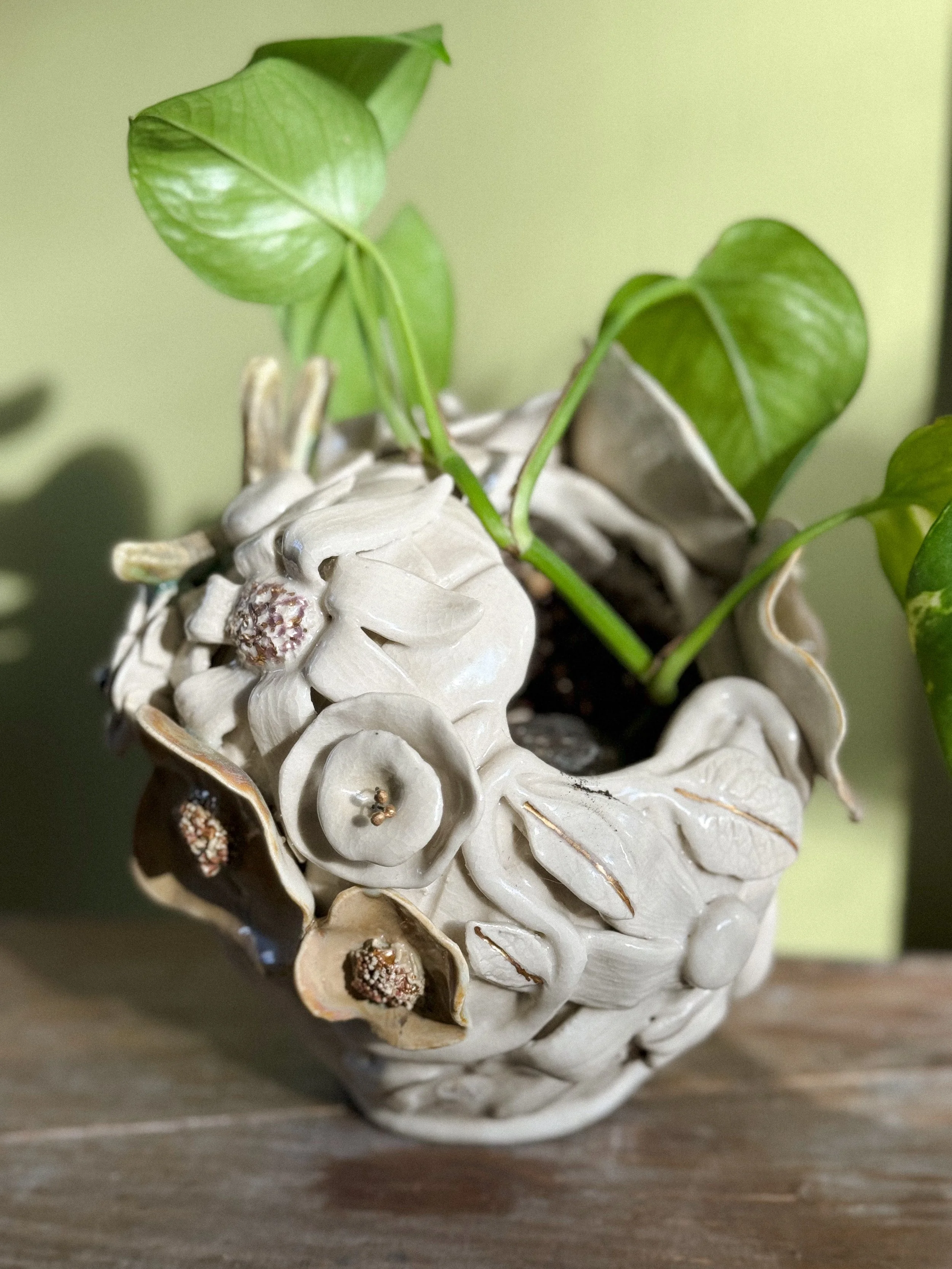 Photo Jan 13 2026, 1 53 36 PM.jpg