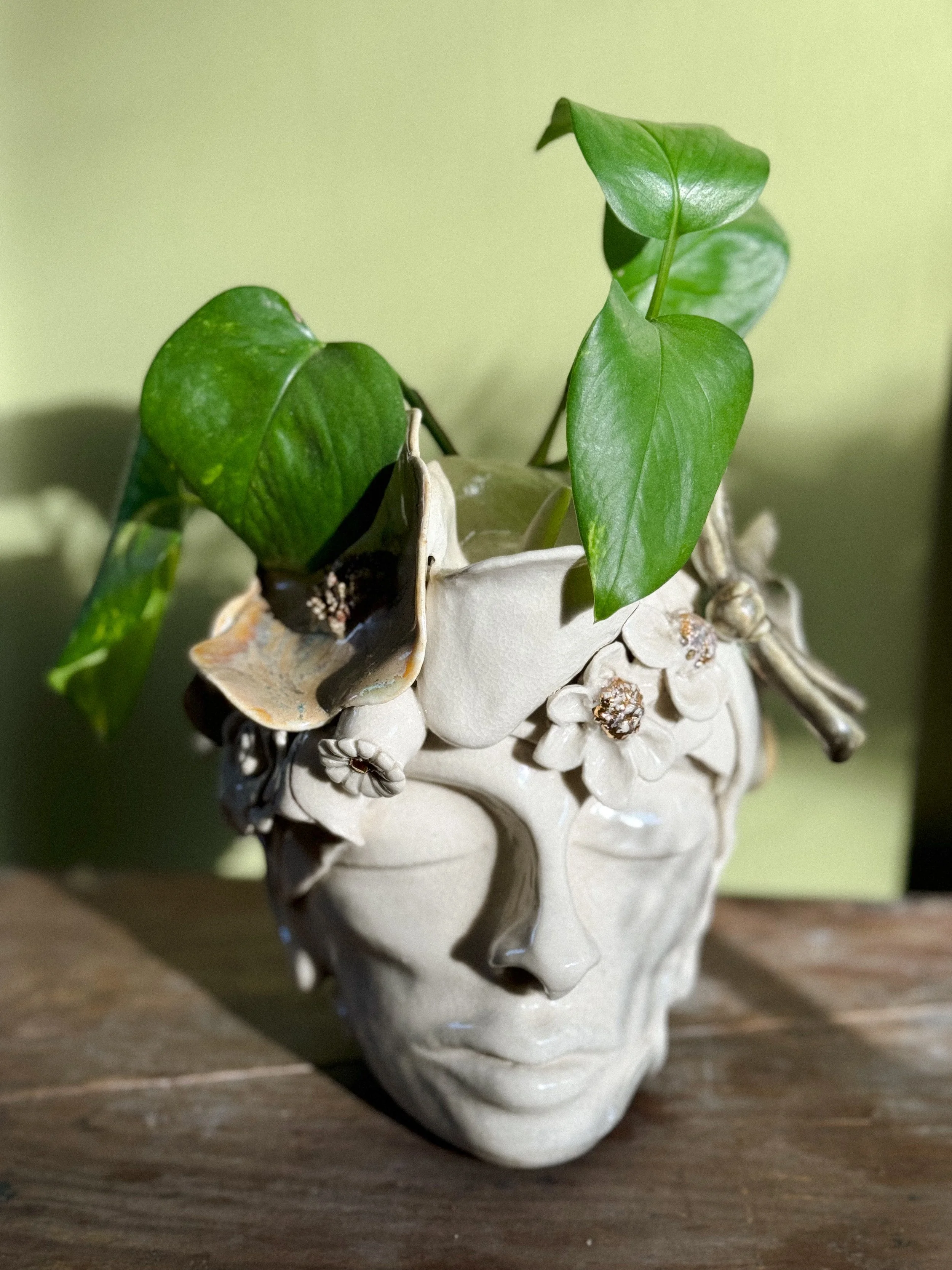 Photo Jan 13 2026, 1 52 45 PM.jpg