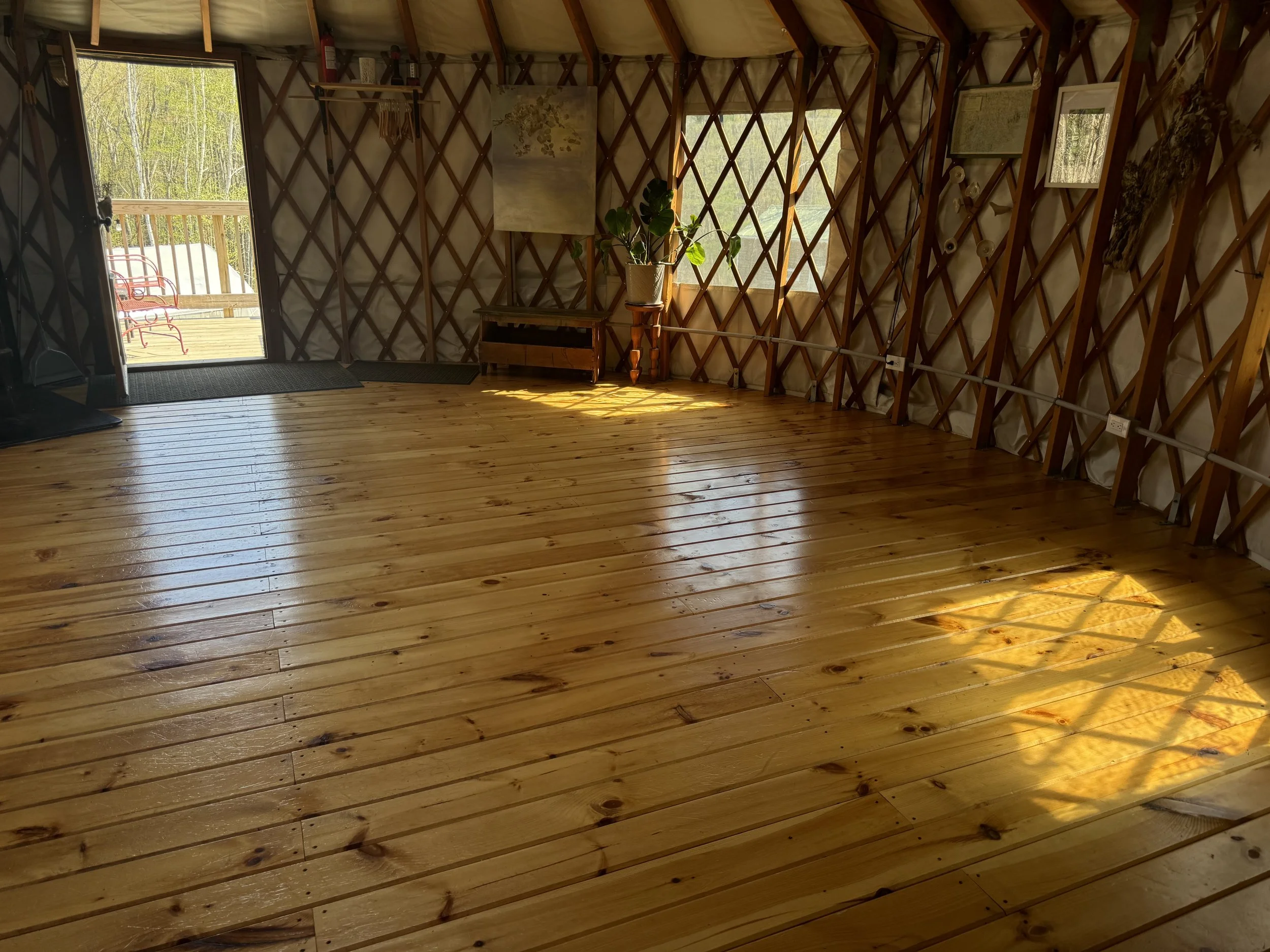 Photo May 14 2025, 9 56 45 AM.jpg