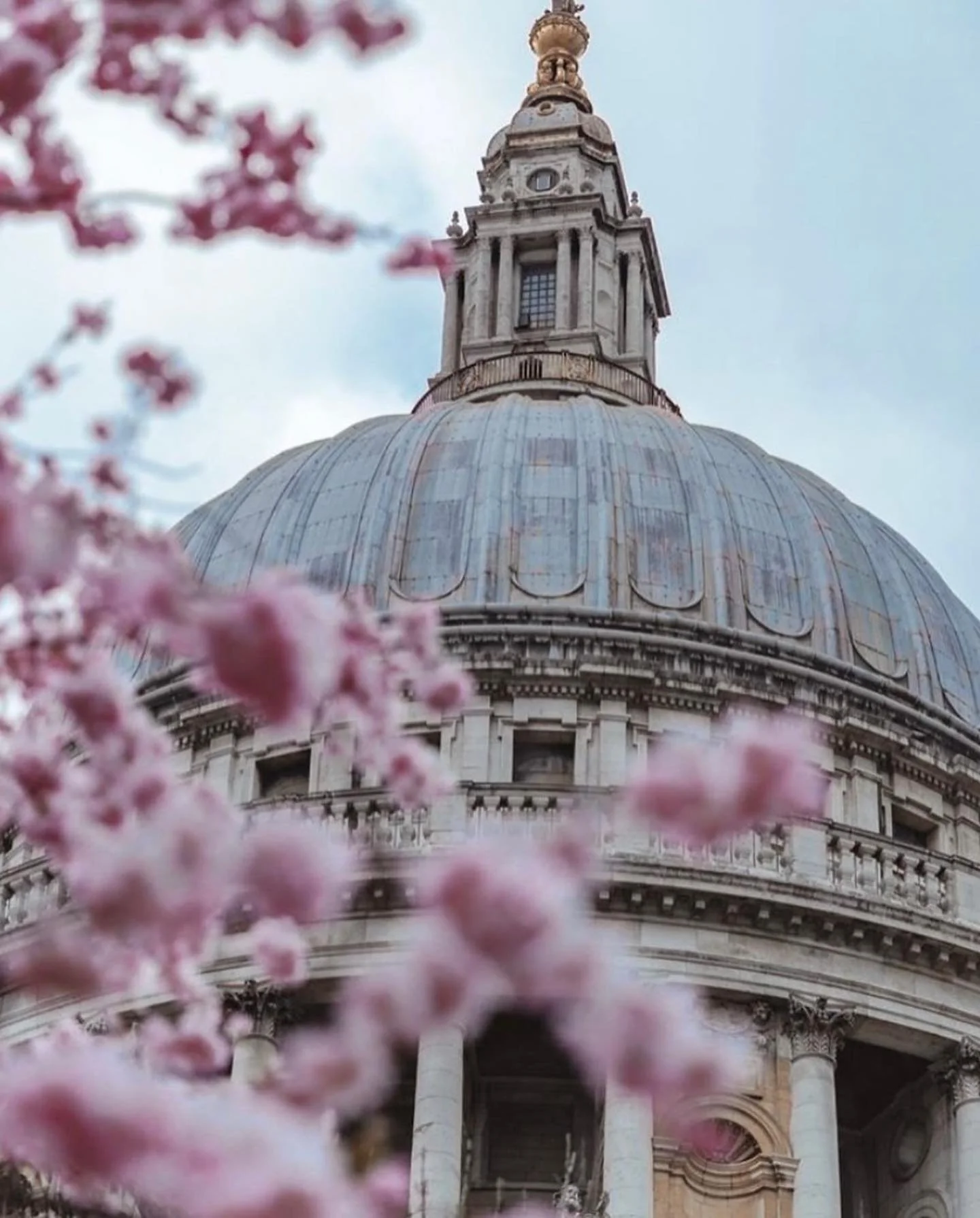 Spring has sprung at St Paul&rsquo;s cathedral, right in the heart of the City of London 🌸

📸 - @the_freedom_traveler 

-

#london #spring #londoninspring #londonlife #london🇬🇧 #stpaulscathedral #architecture #londonarchitecture #inspo #home #hom