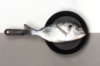 Bigger Fish to Fry: How companies fail when they ignore engagement.