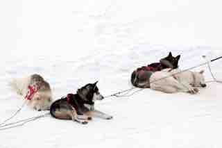 Is your team pulling in the same direction?