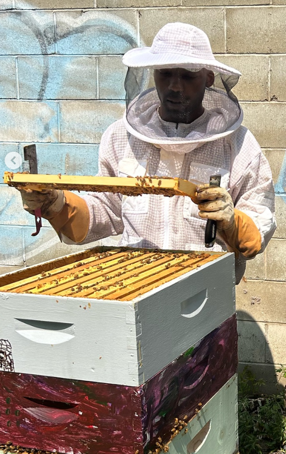 Founder Marcellis Counts wearing a beekeeper suit, gloves, and a protective hat with a veil, examining honeycomb frames from a beehive box outdoors against a brick wall.
