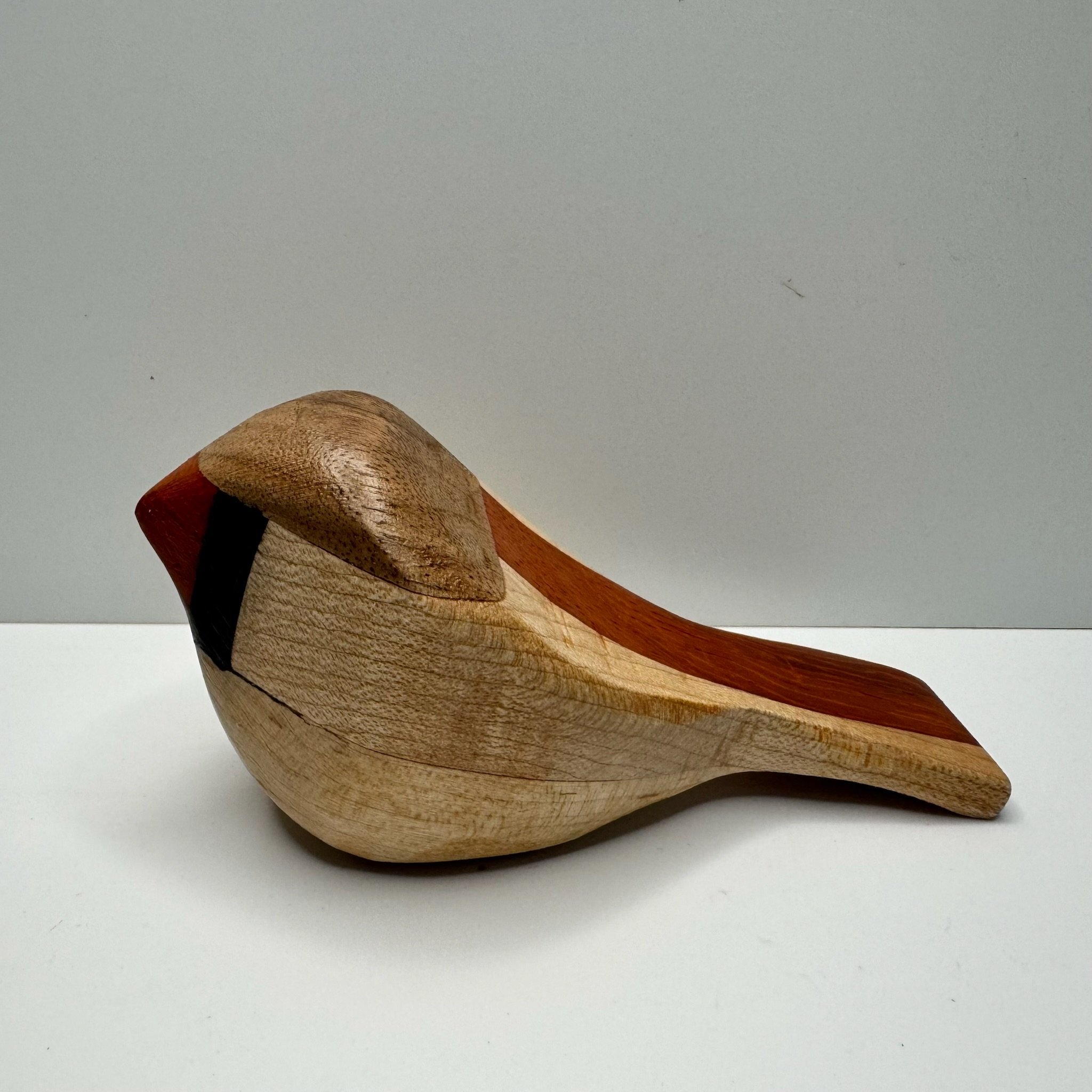 hall of fame bird 34a.JPG