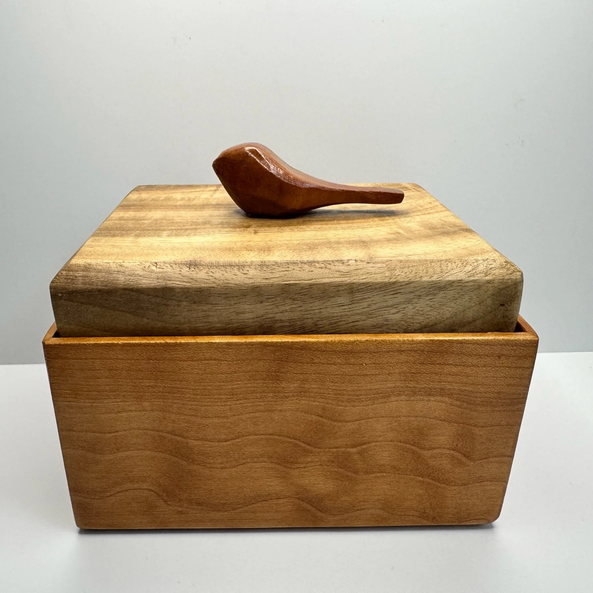 bird box 111625b.JPG