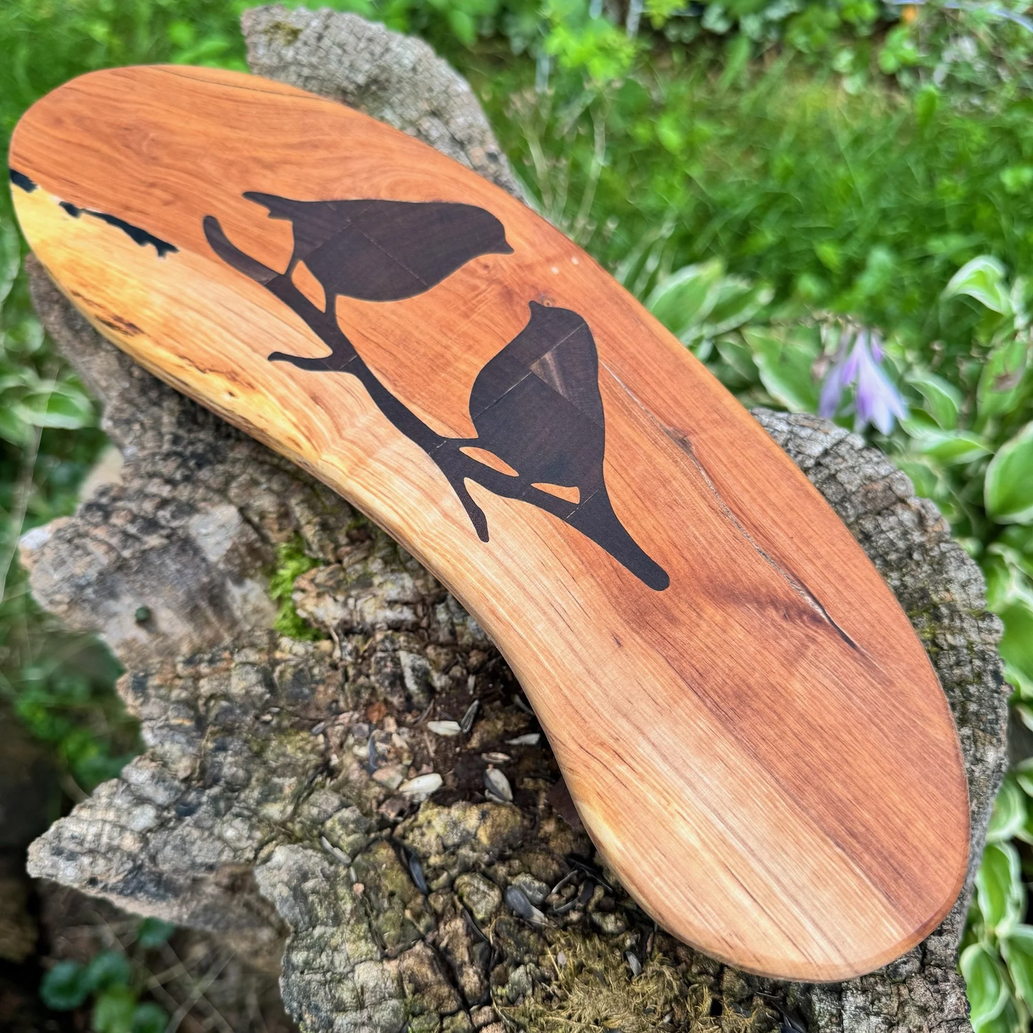 bird tray 5f.JPG