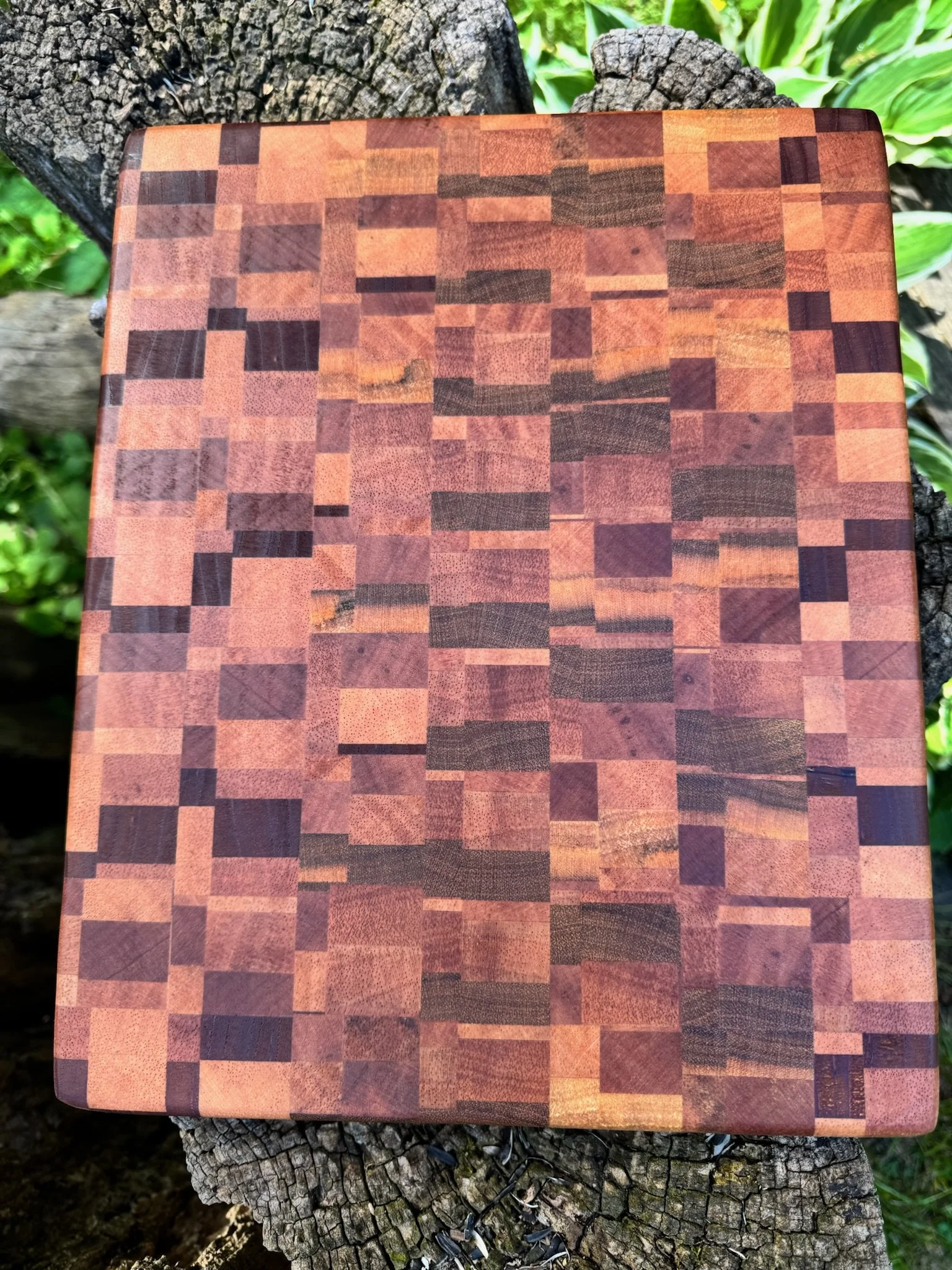 chaos board 2.JPG